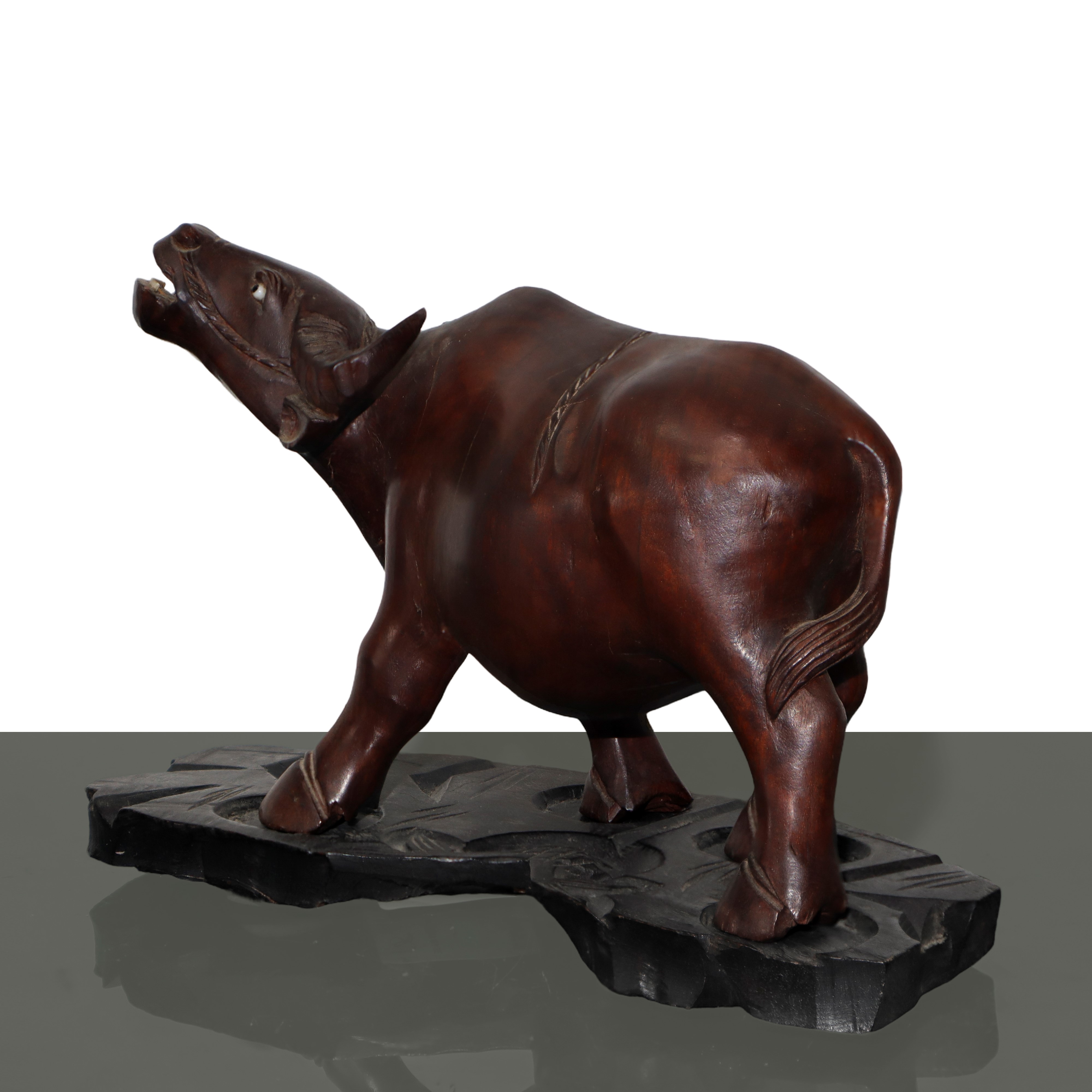 Scultura in Legno di Bufalo, con Base
