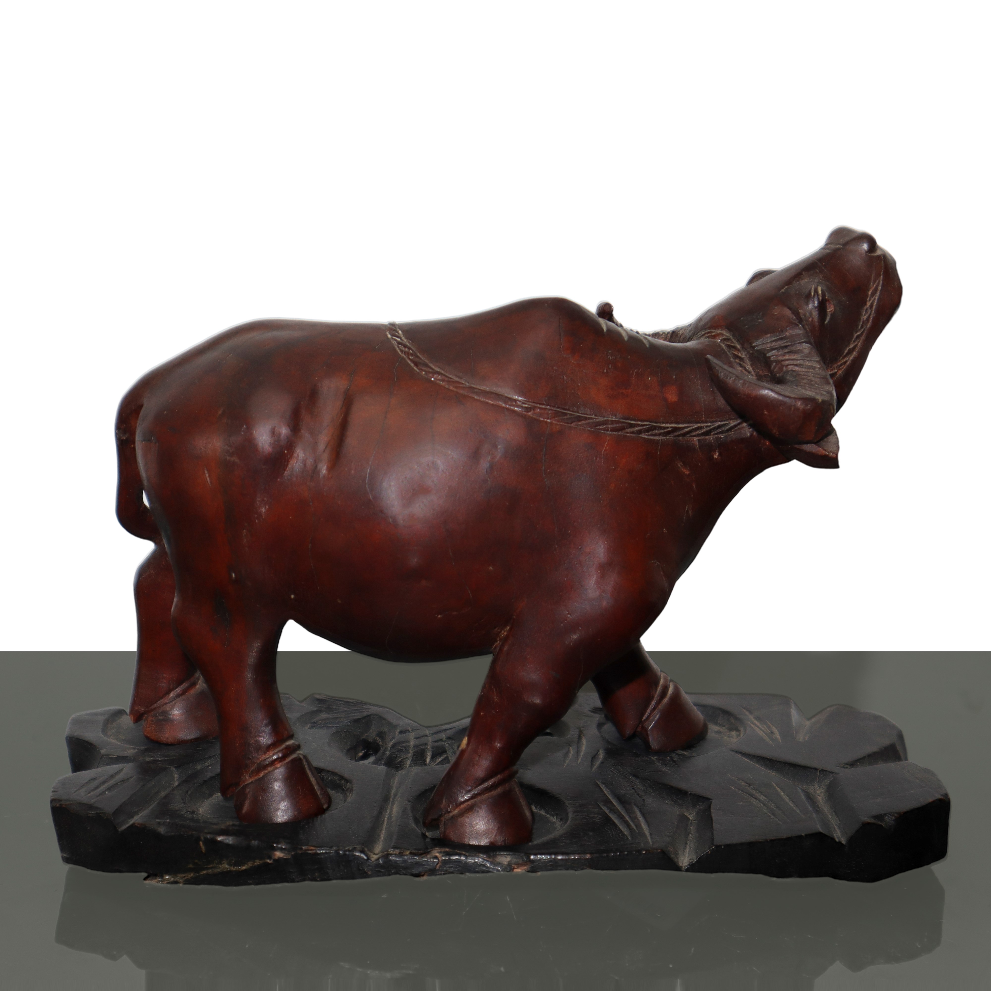 Scultura in Legno di Bufalo, con Base