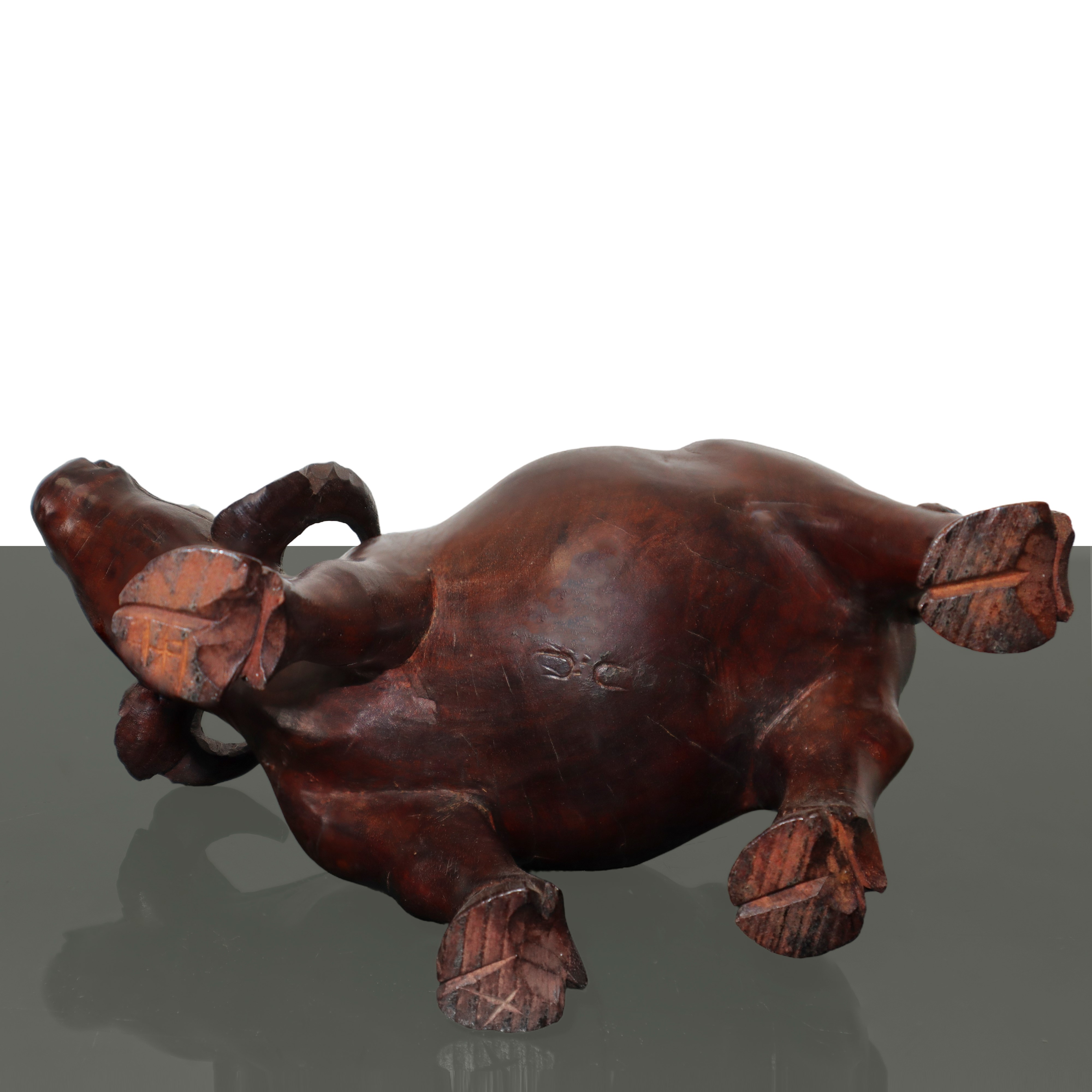 Scultura in Legno di Bufalo, con Base
