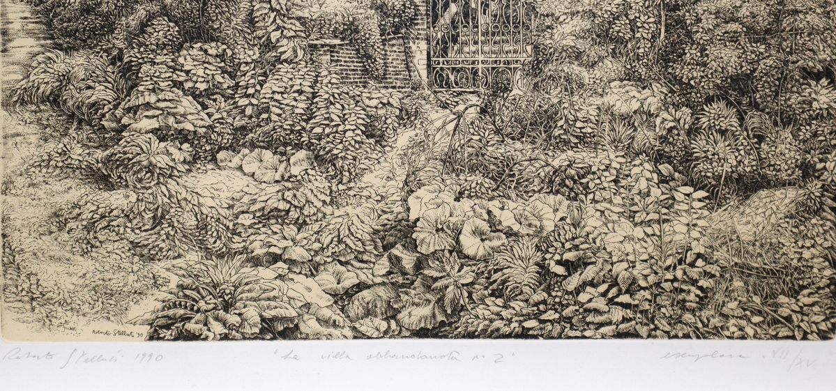 Roberto Stelluti - La Villa Abbandonata N. 2