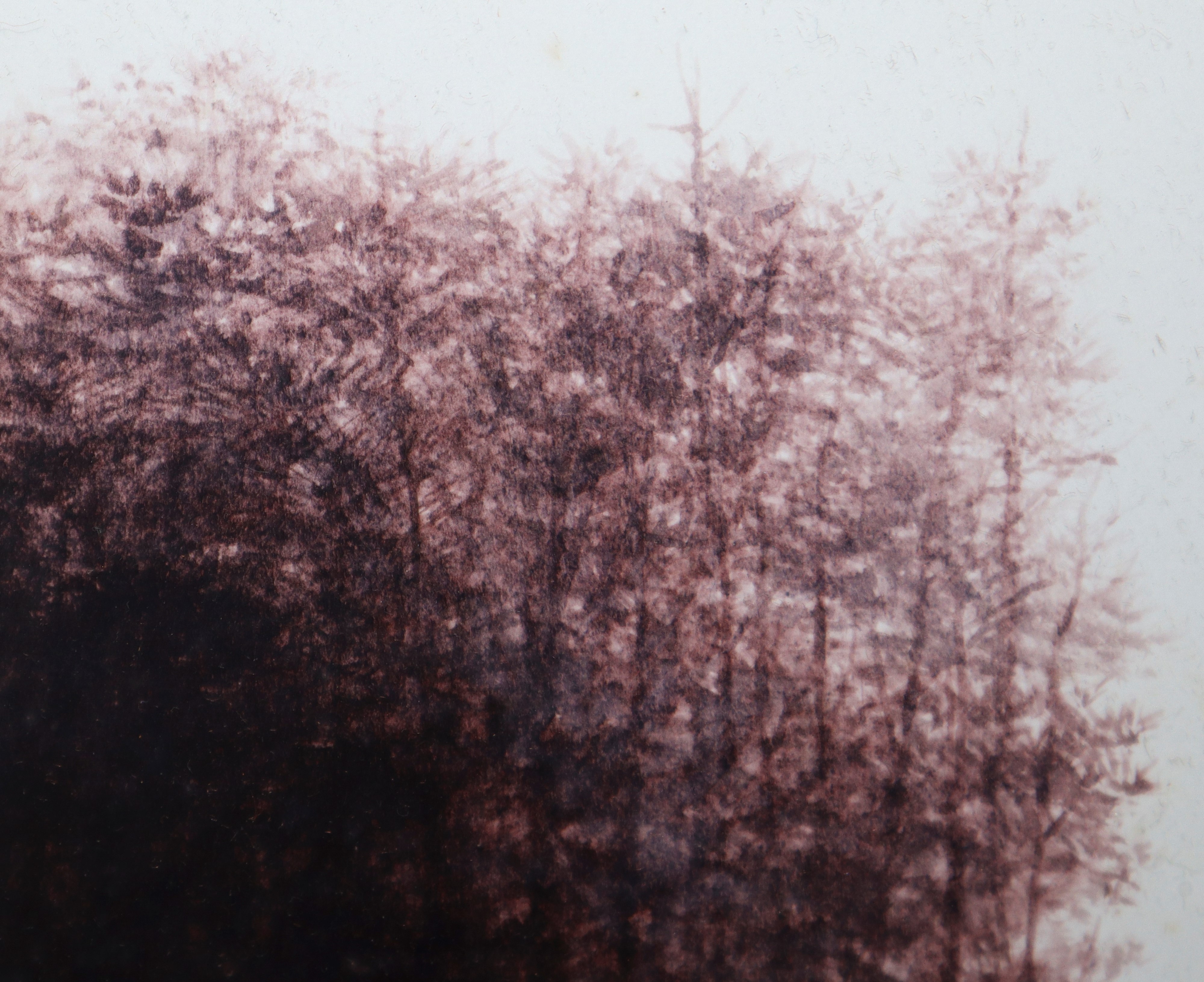 Philiph Hipwell - Woodstok N.y.