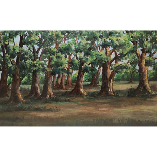 Cafiero Filippelli - Woods