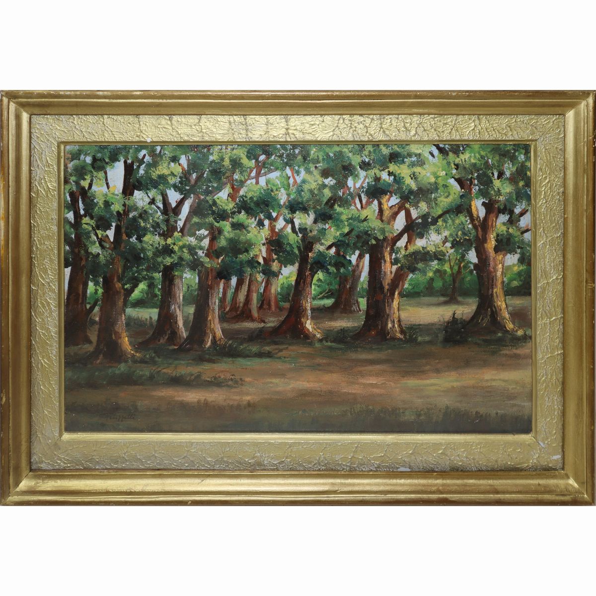 Cafiero Filippelli - Bosco