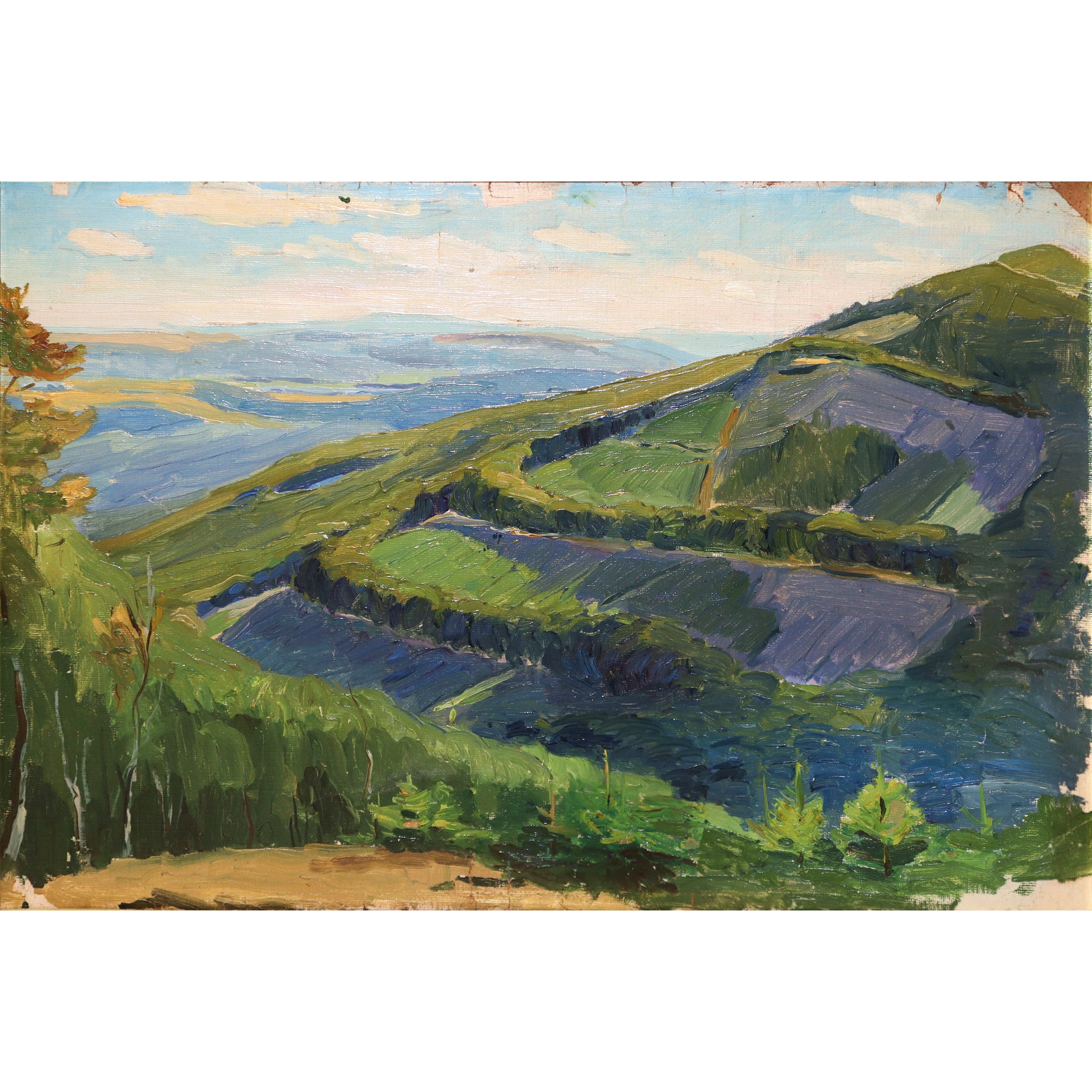 Paesaggio con Boschi