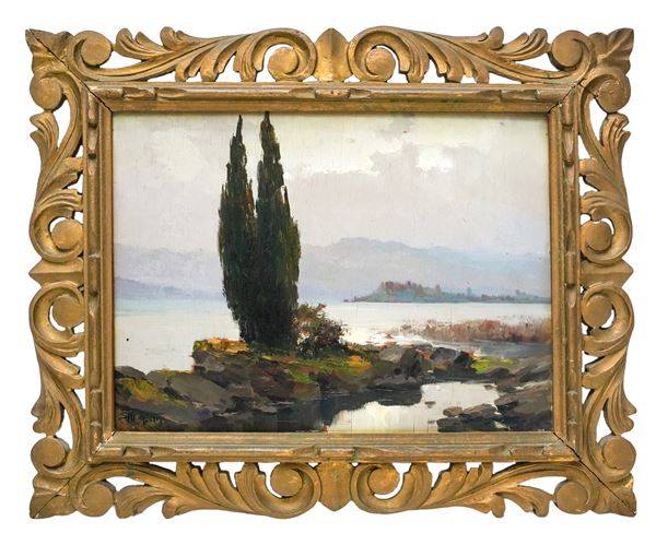 Lake landscape with cypresses