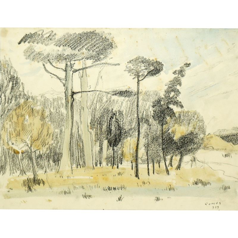 Carmelo Comes - Paesaggio