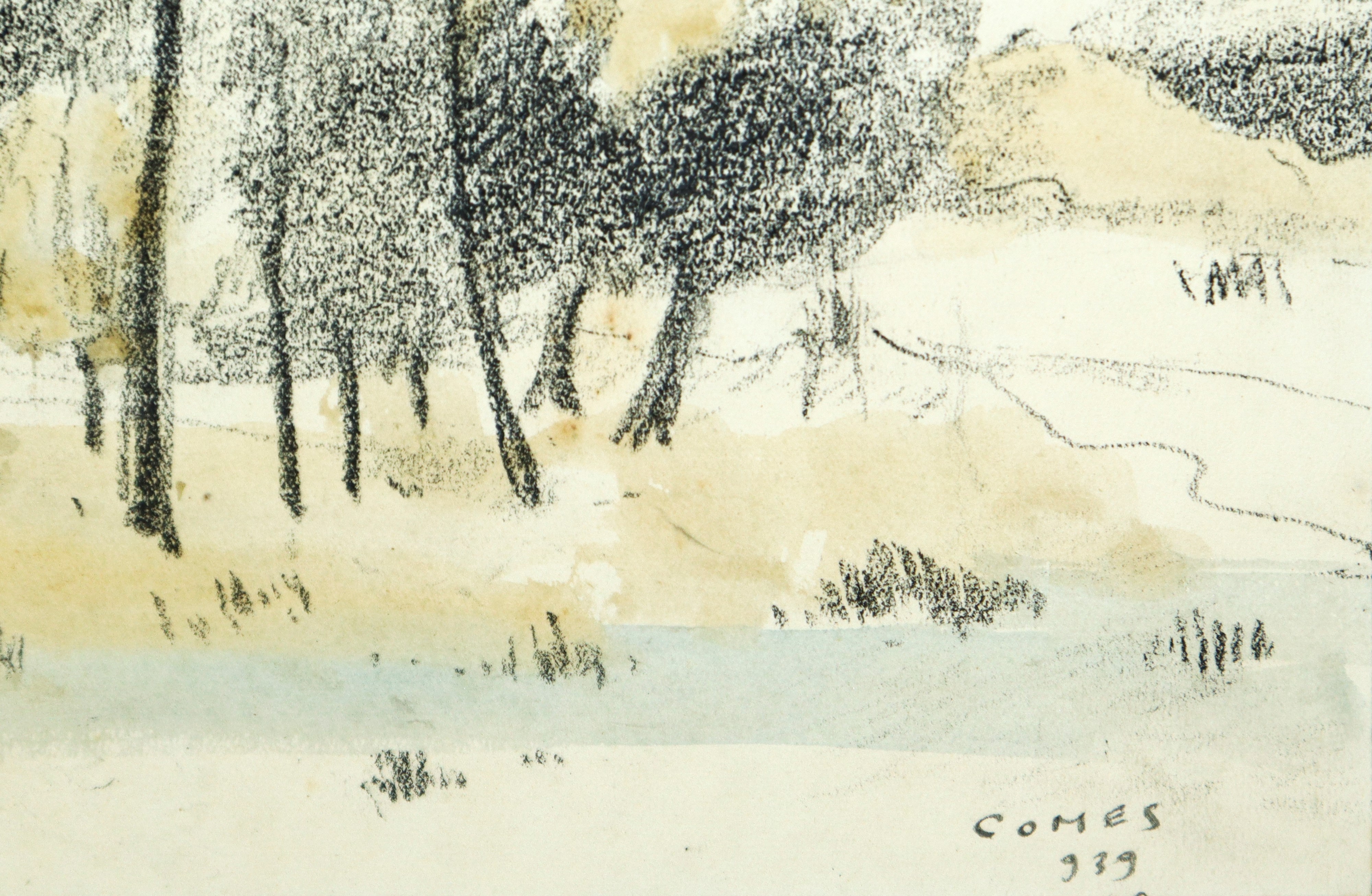 Carmelo Comes - Paesaggio