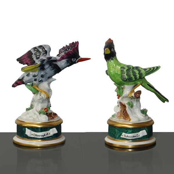 Sevres- Vincennes - Pair of porcelain birds