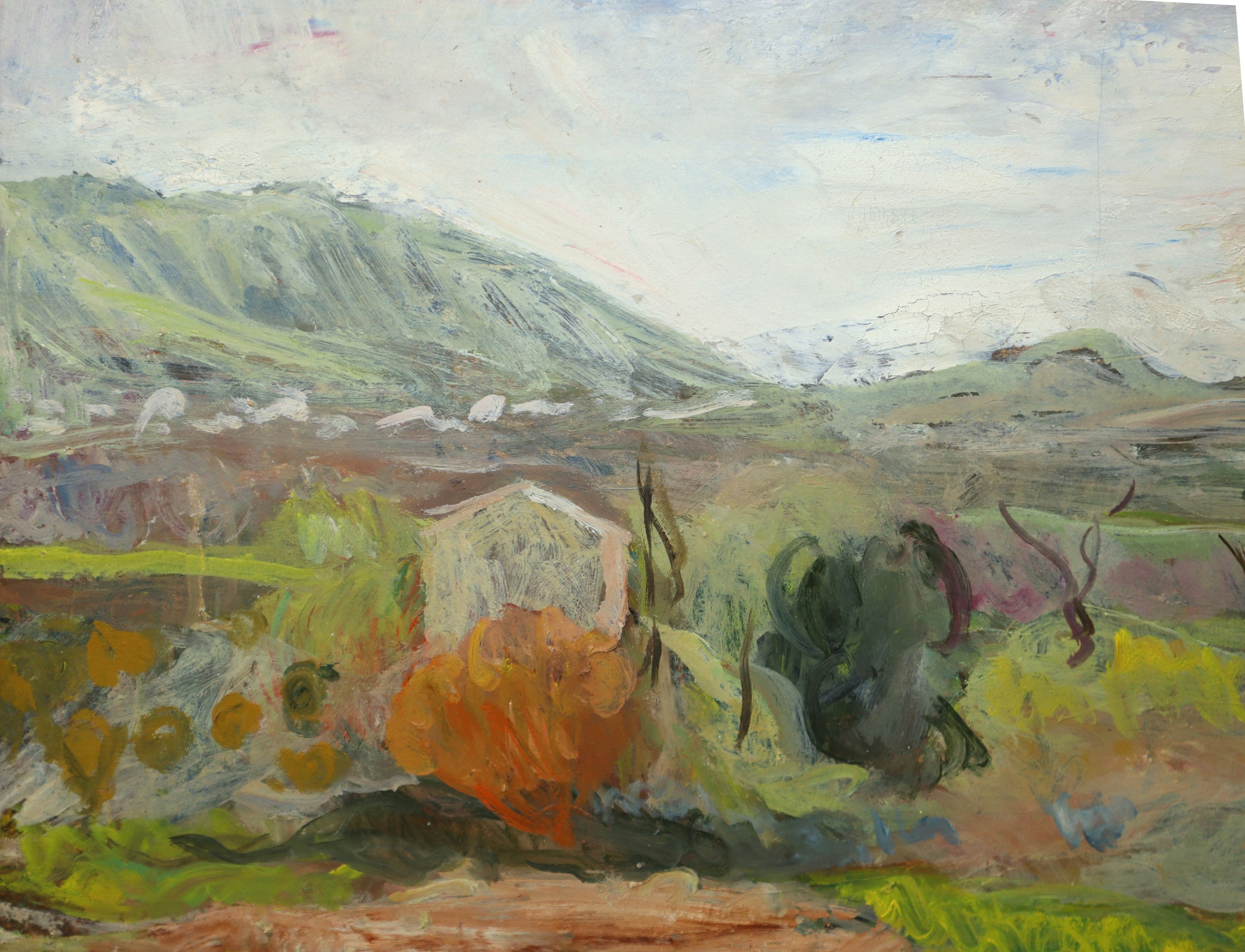 Elio Romano - Paesaggio Agreste di Morra