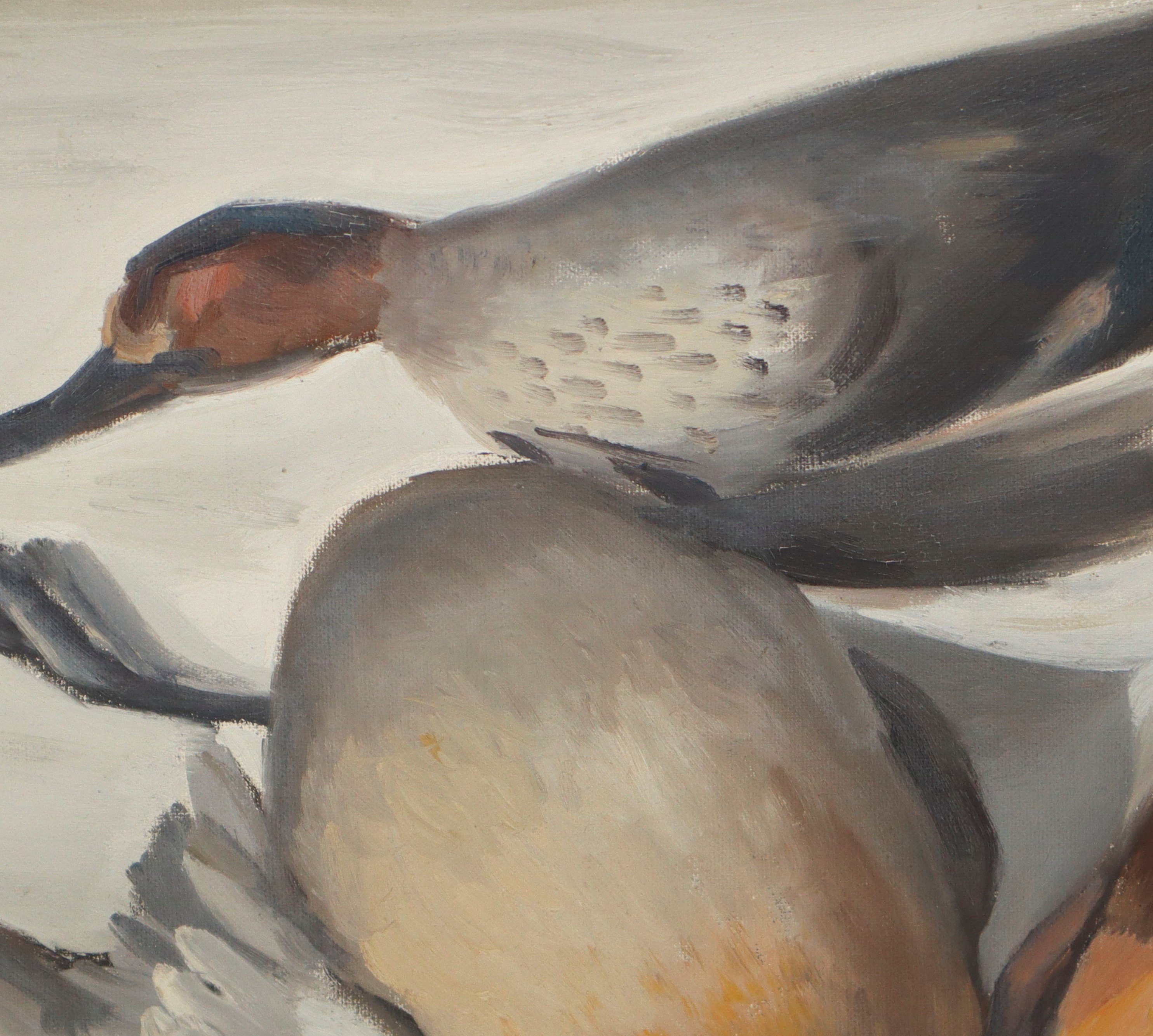 Natura morta con uccelli