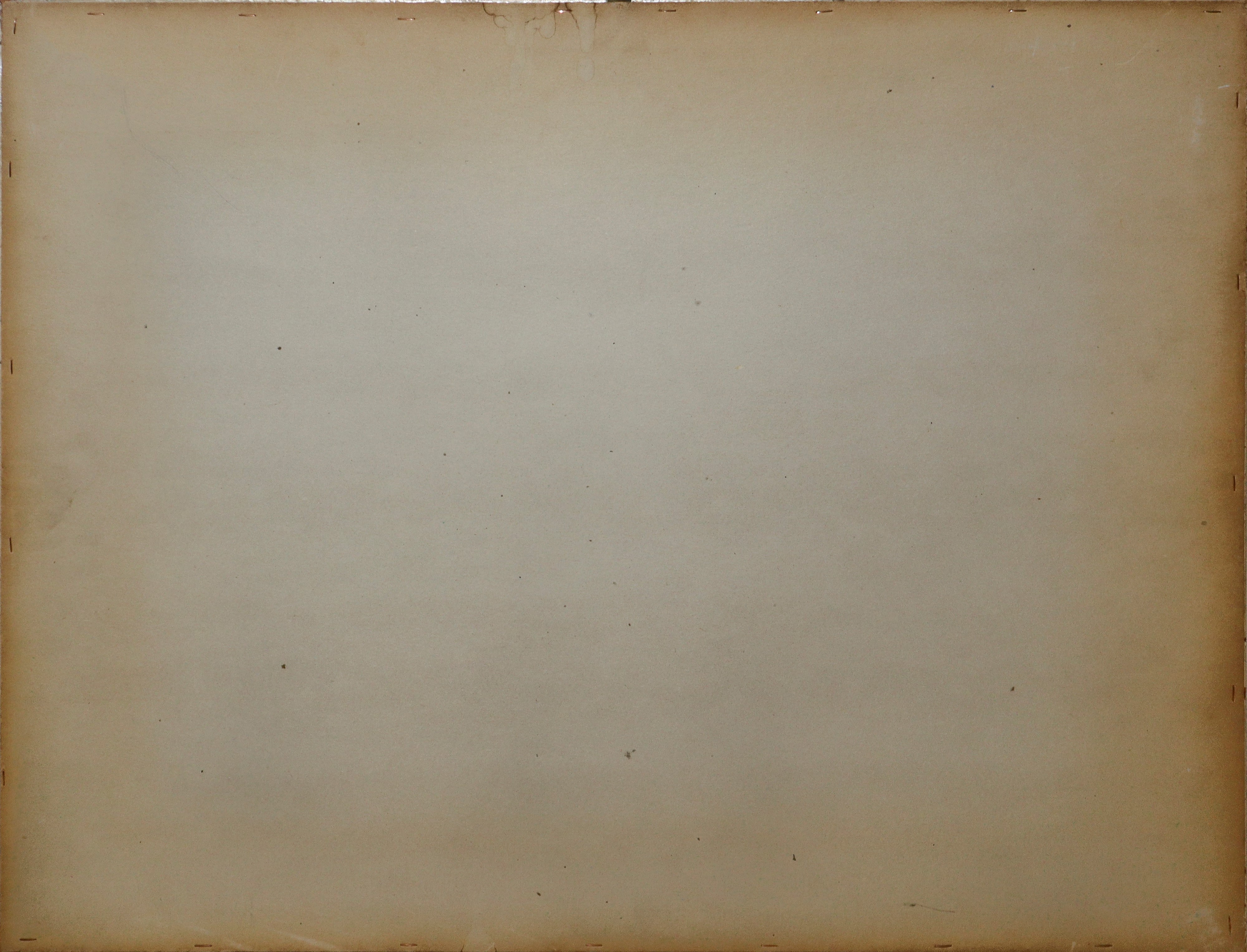 Natura morta con uccelli