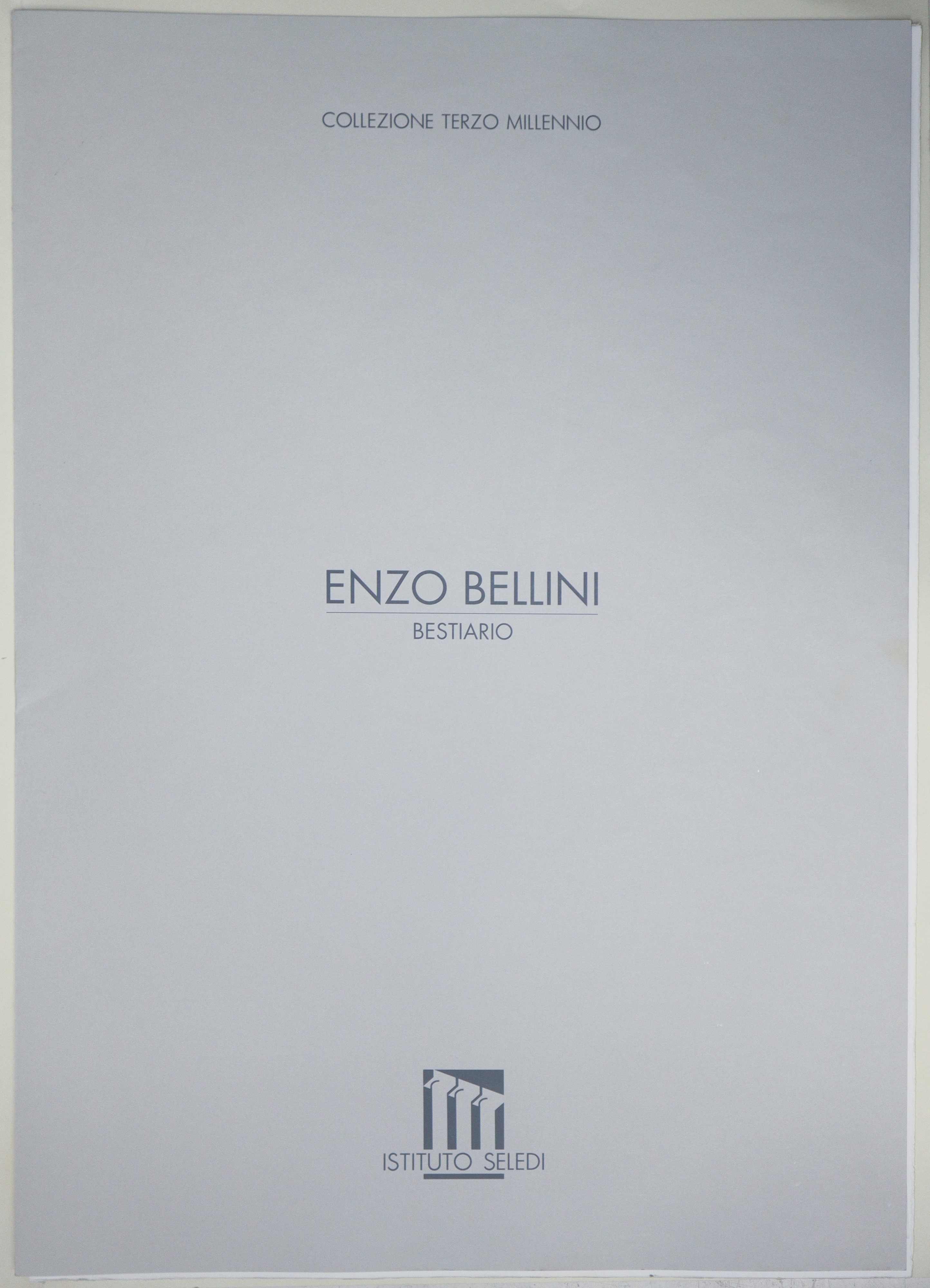Enzo Bellini - Uccelli