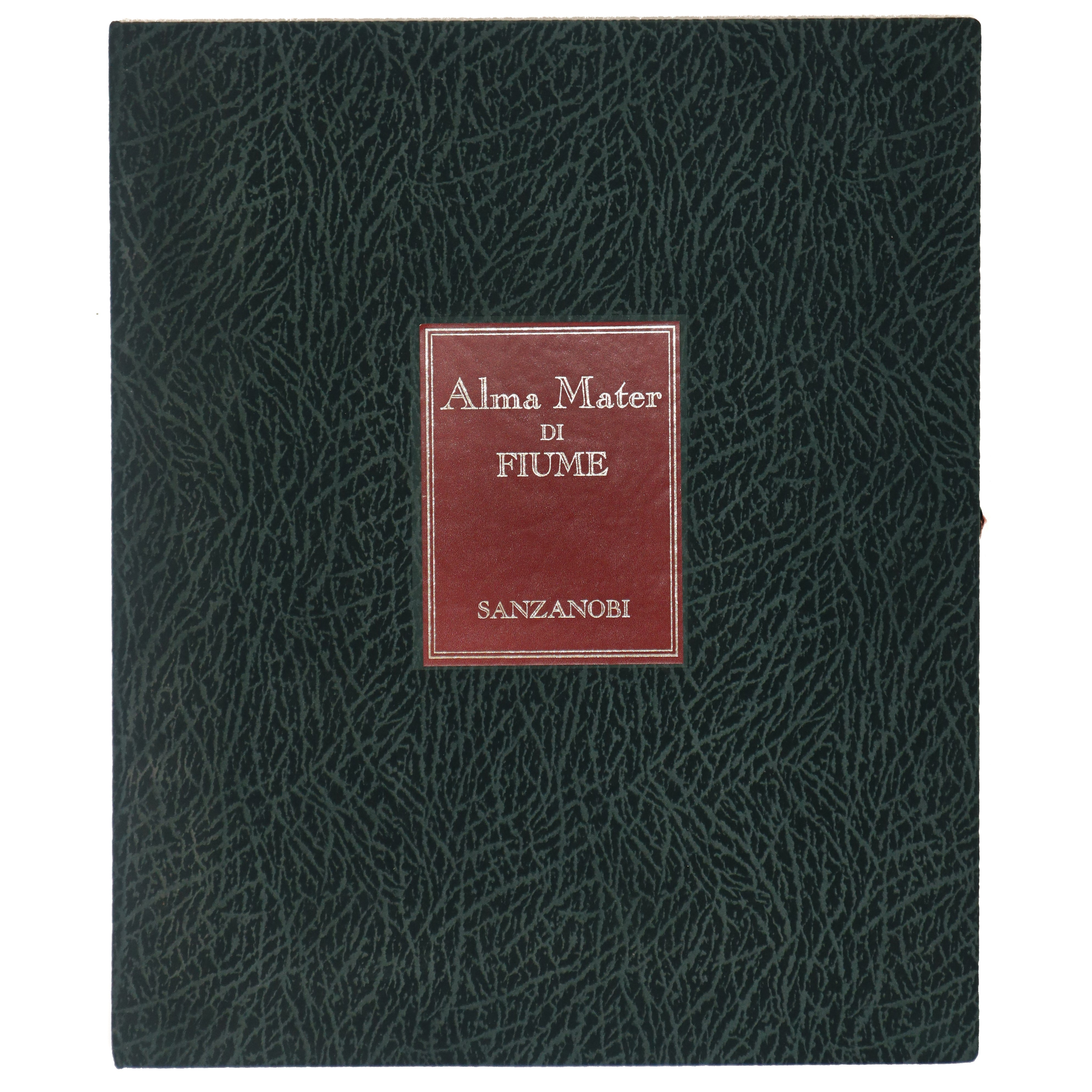 Alma Mater, Donna educatrice alla pace