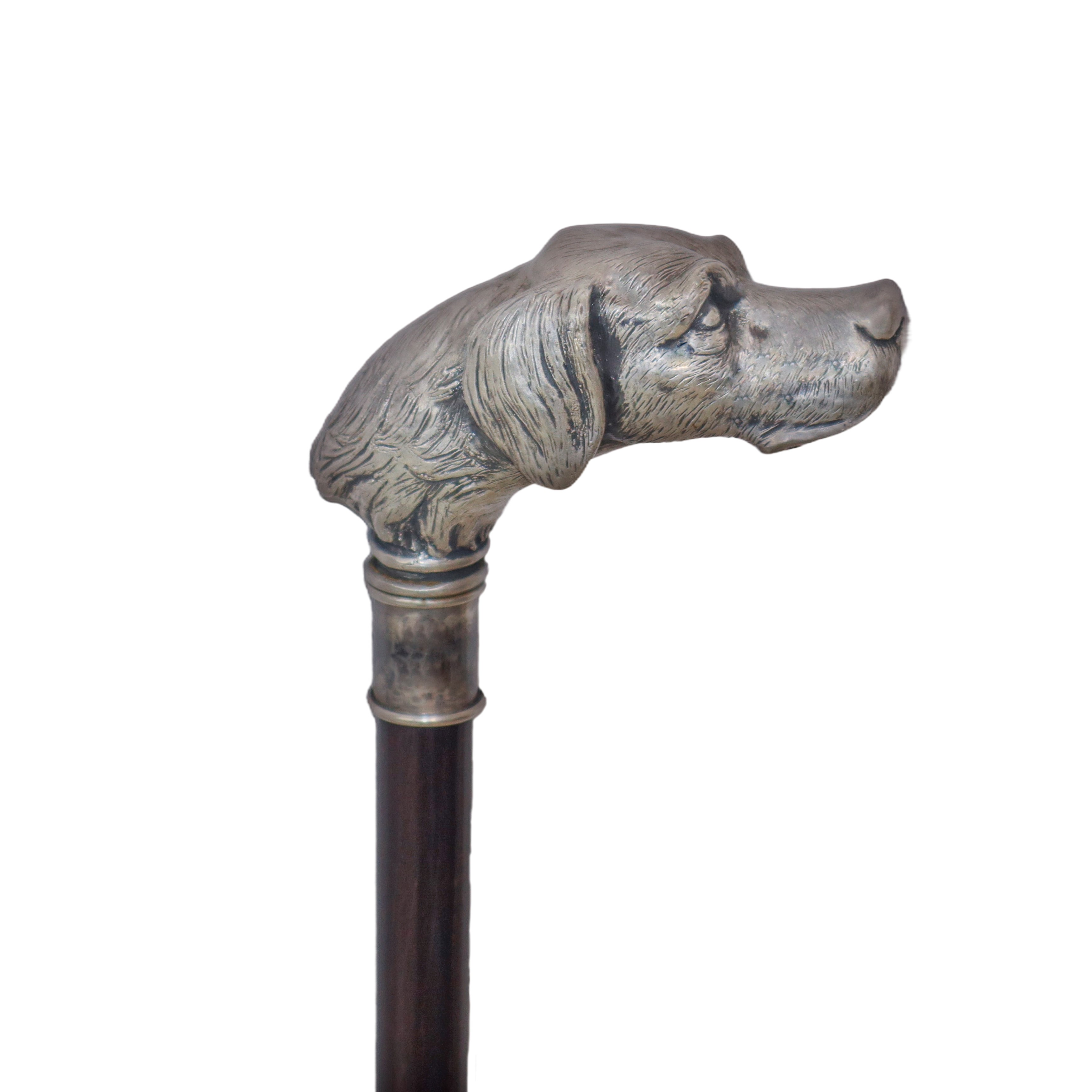 Bastone in Legno di Malacca con Impugnatura a Forma di Testa di Cane in Argento