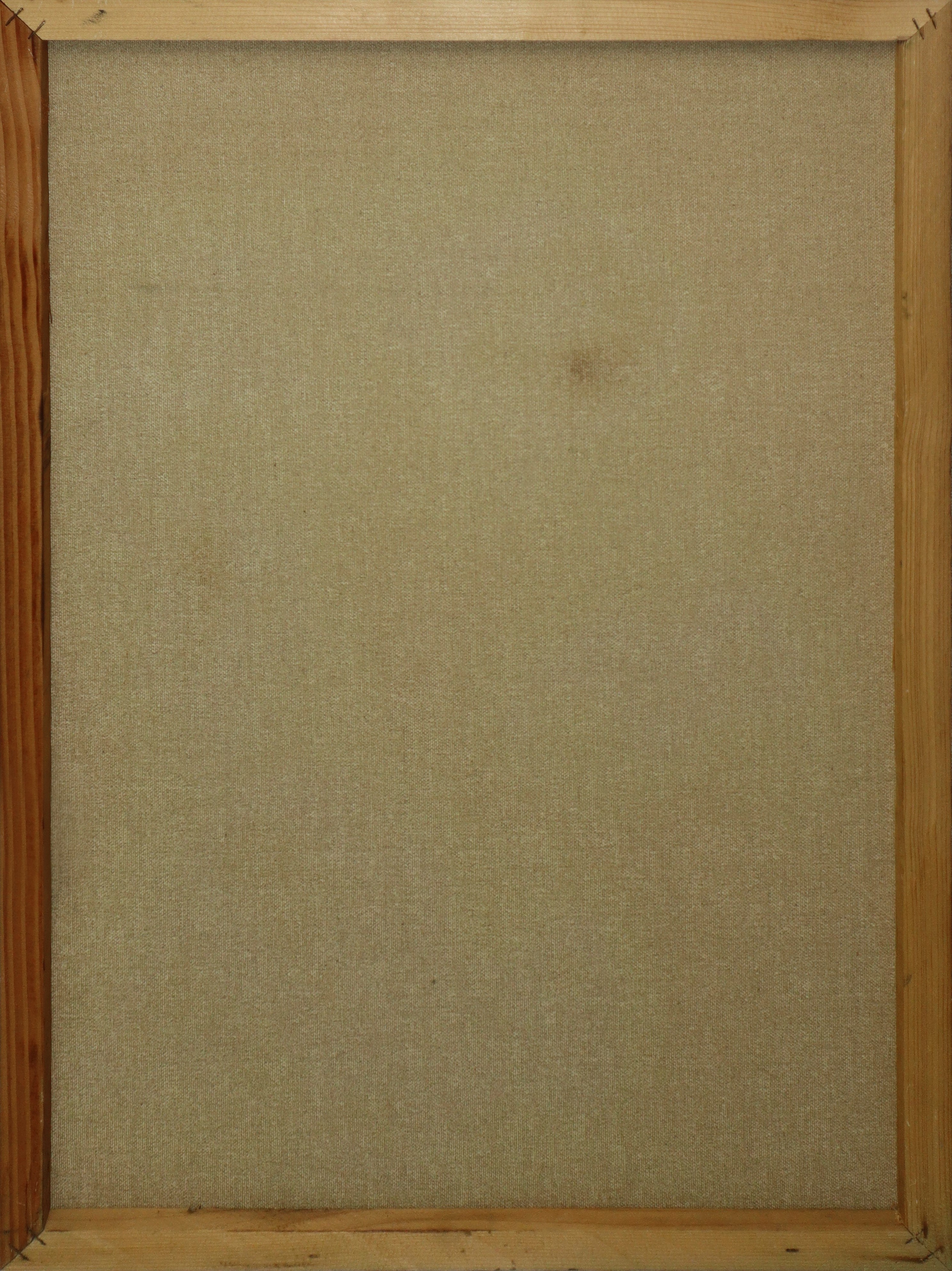 Cesare D'angelo - Donna a cavallo, 70x50 cm