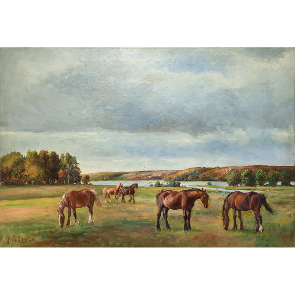 Niels Hans Christiansen - Horses in the wild