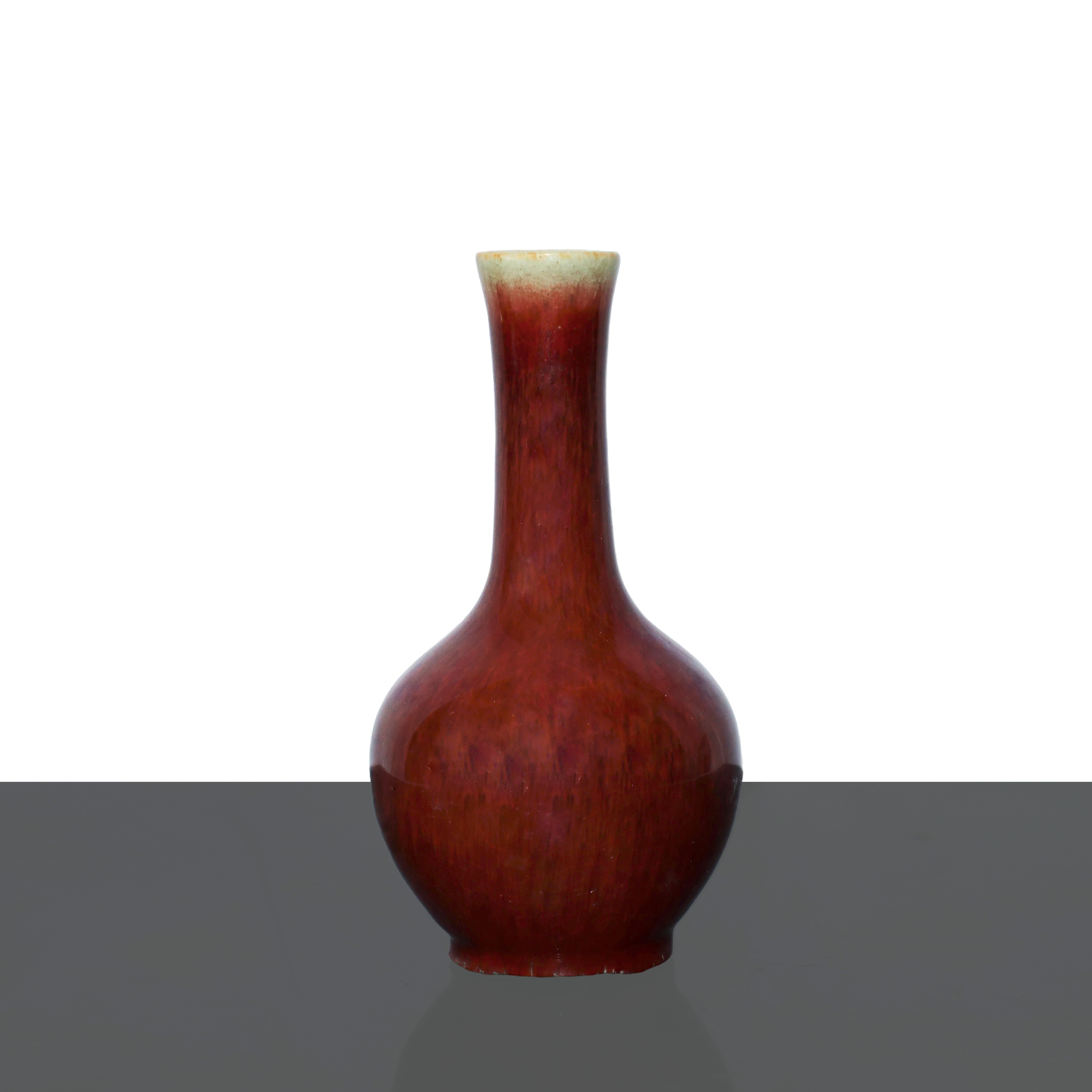 Vaso in Porcellana Smalato Rosso della Dinastia Qing