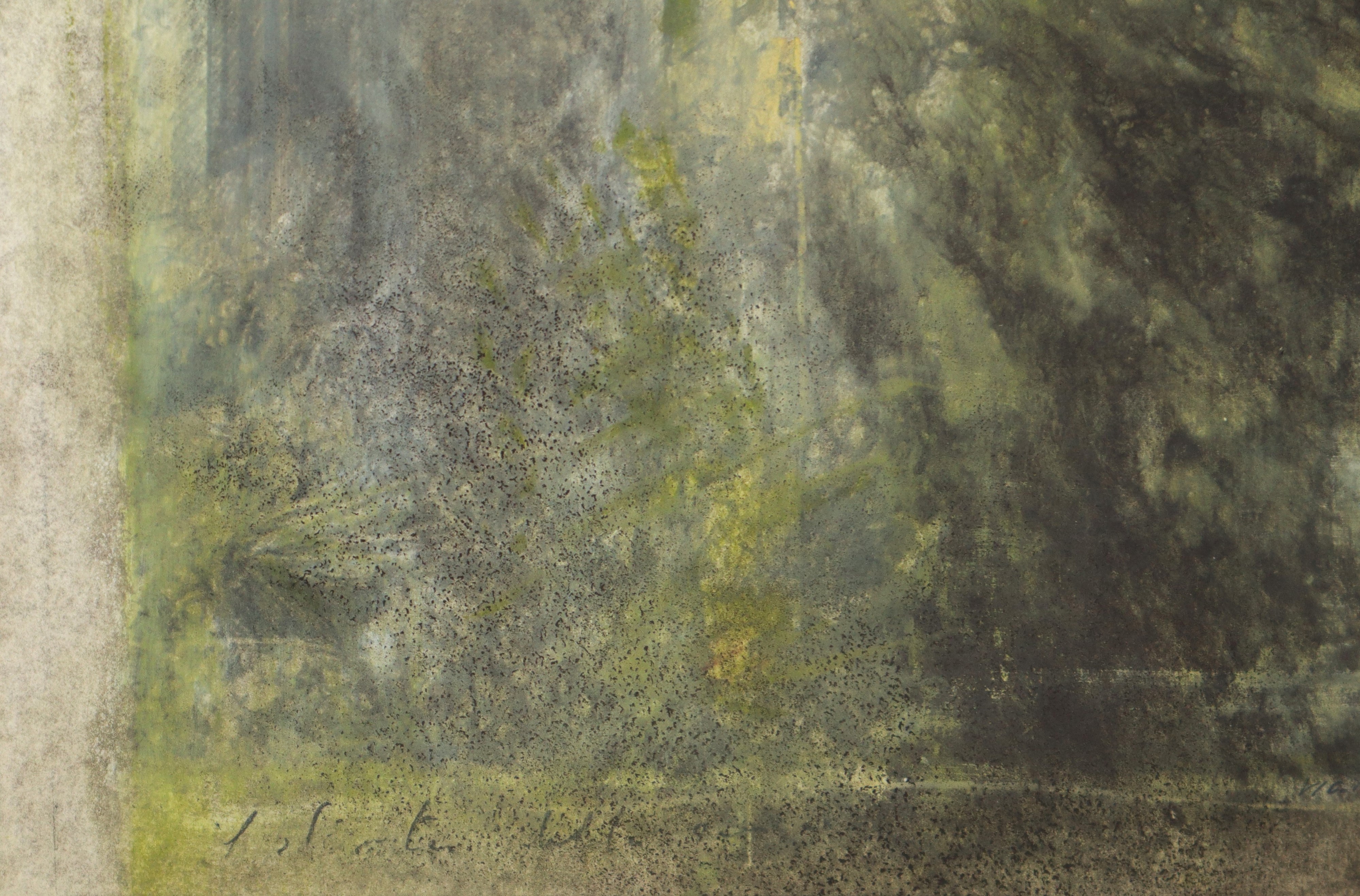 Il dietro della casa