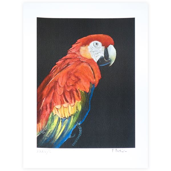 Parot