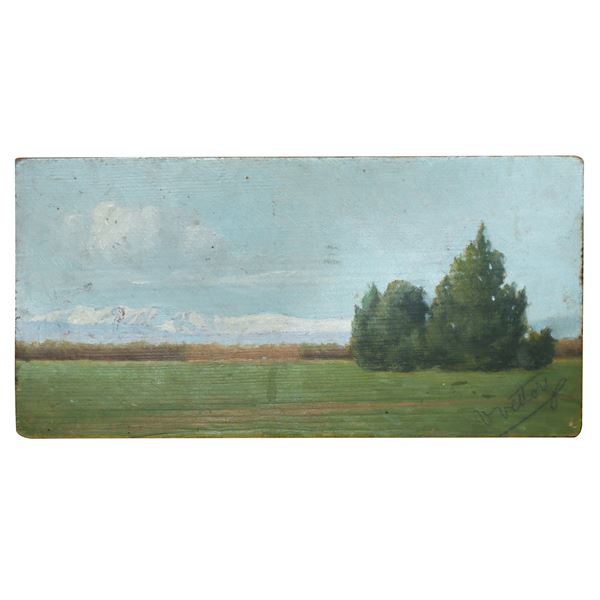 Landscape with trees