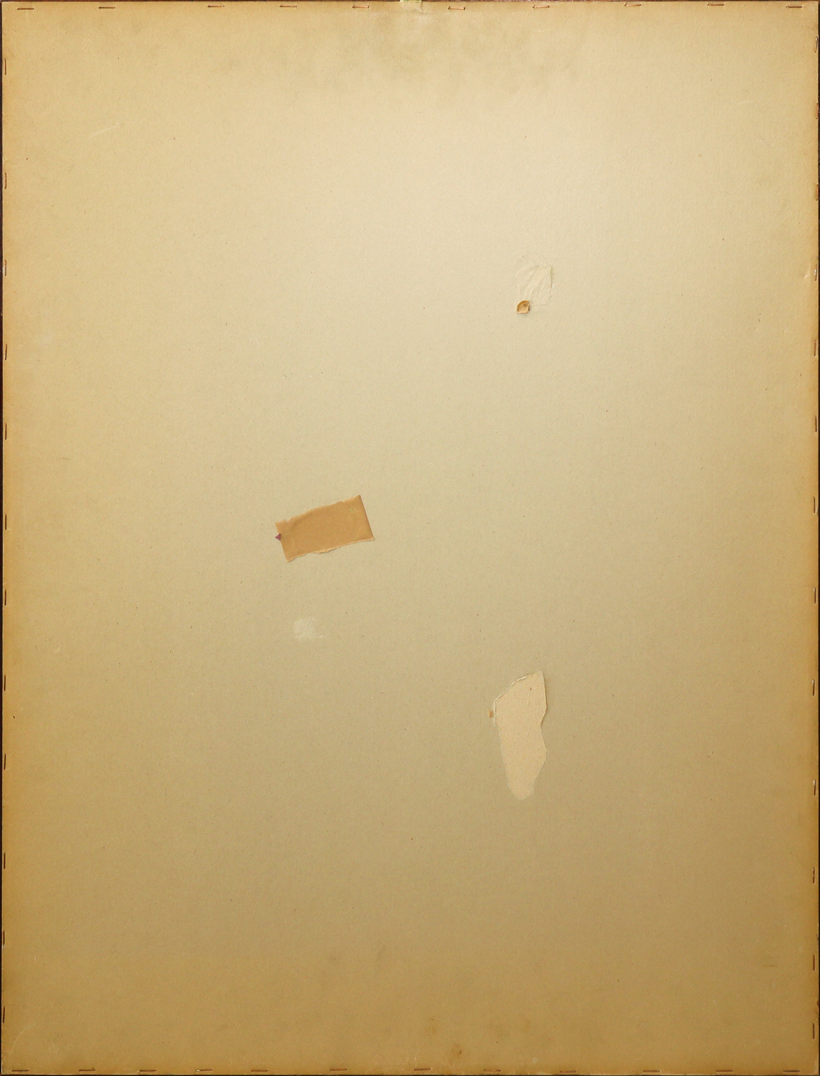 Pale di fichi d'india fiorite