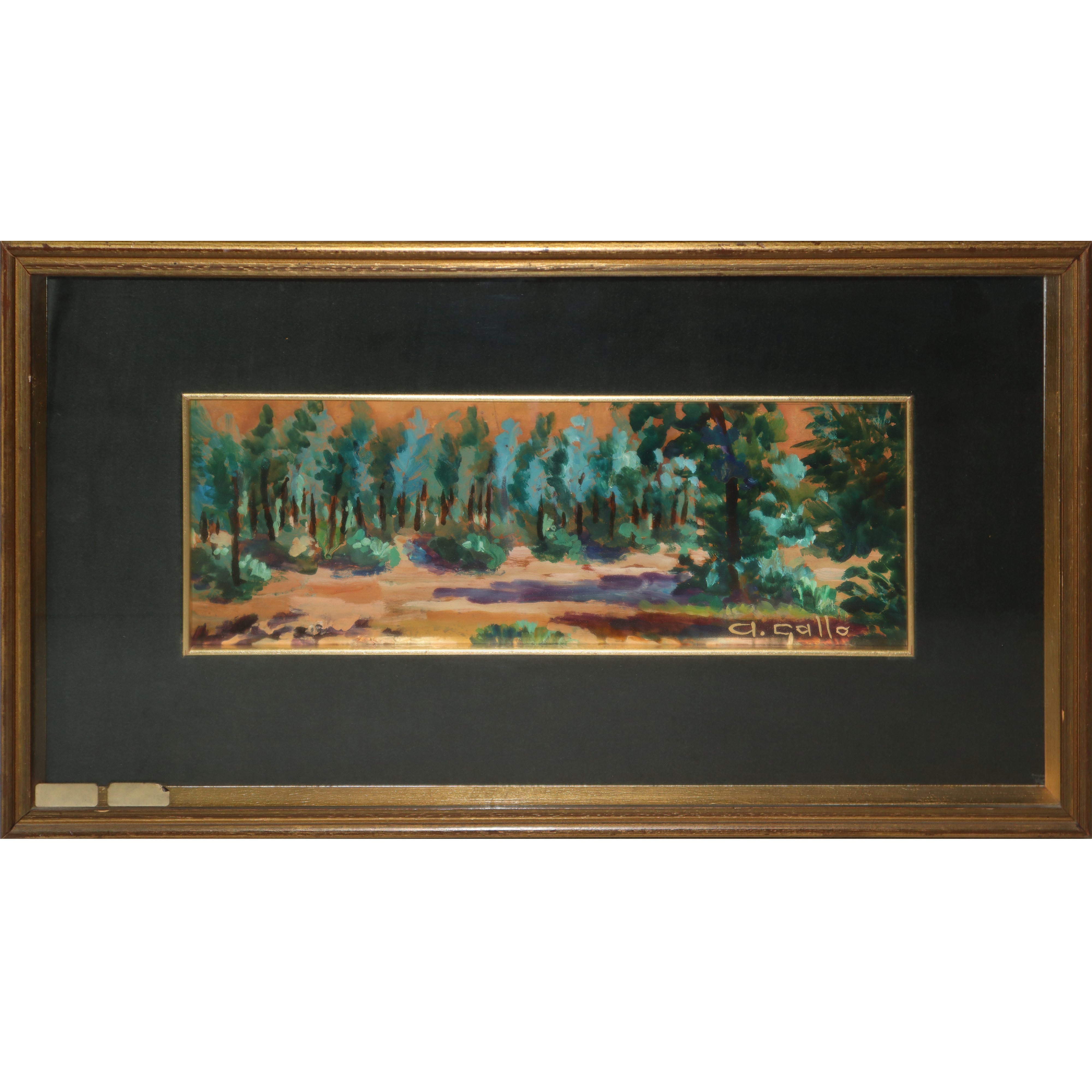 Adriana Gallo - Alberi