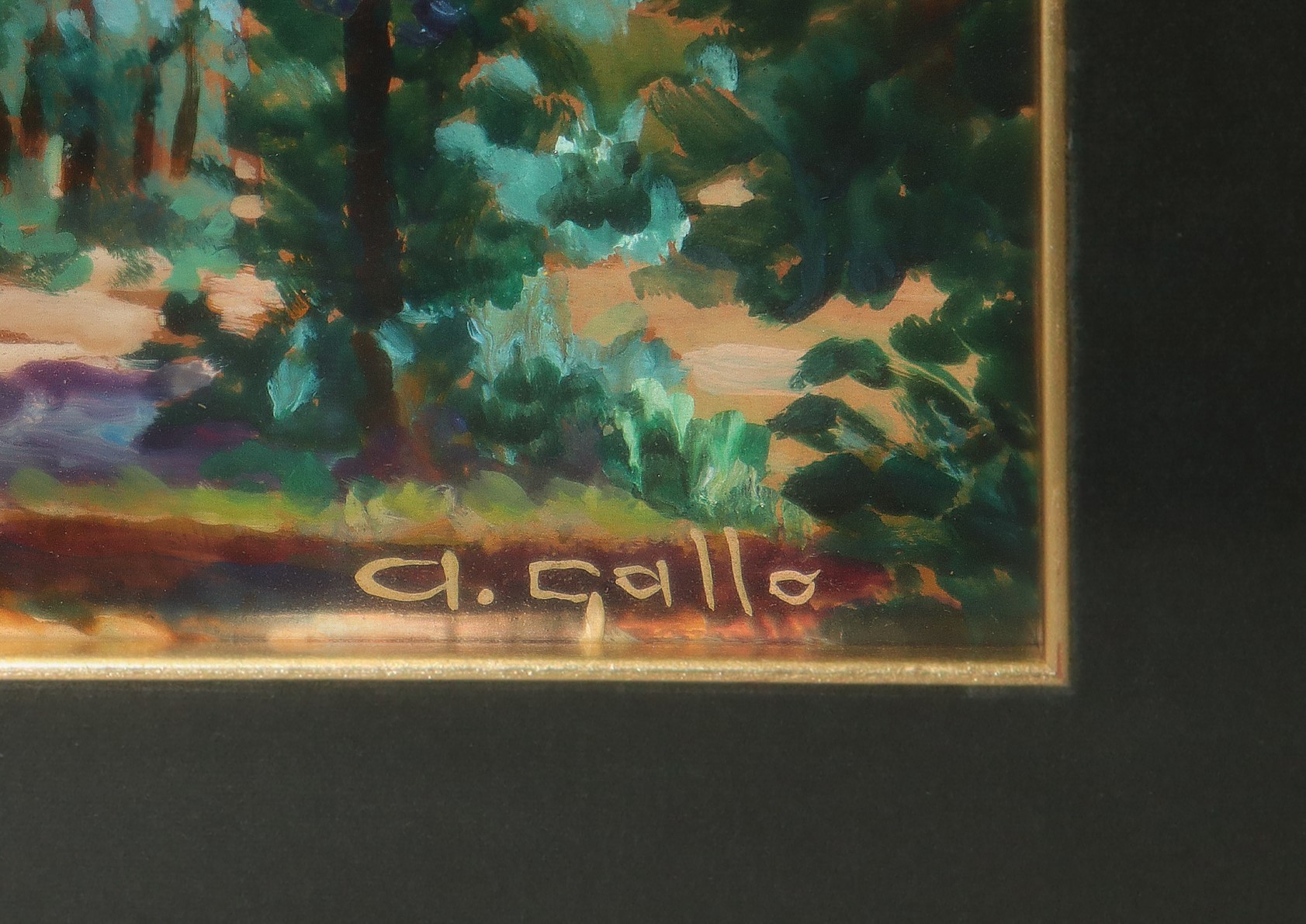 Adriana Gallo - Alberi