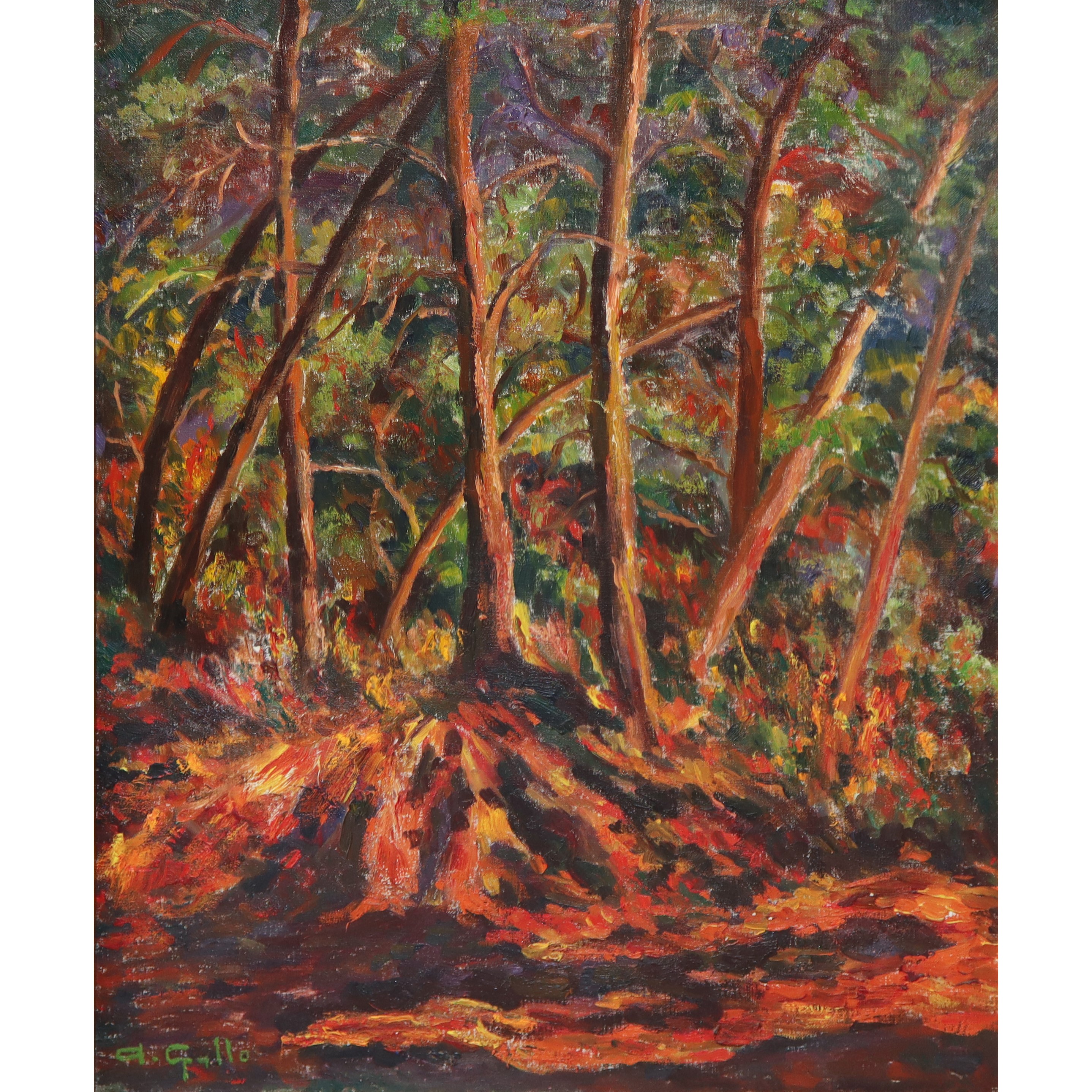 Adriana Gallo - Lava nel Bosco