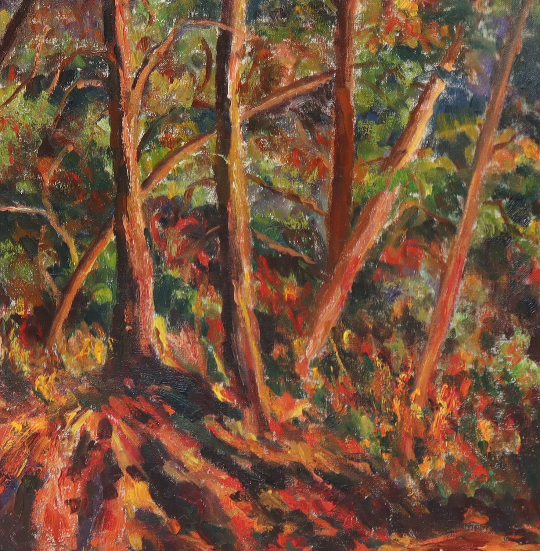 Adriana Gallo - Lava nel Bosco