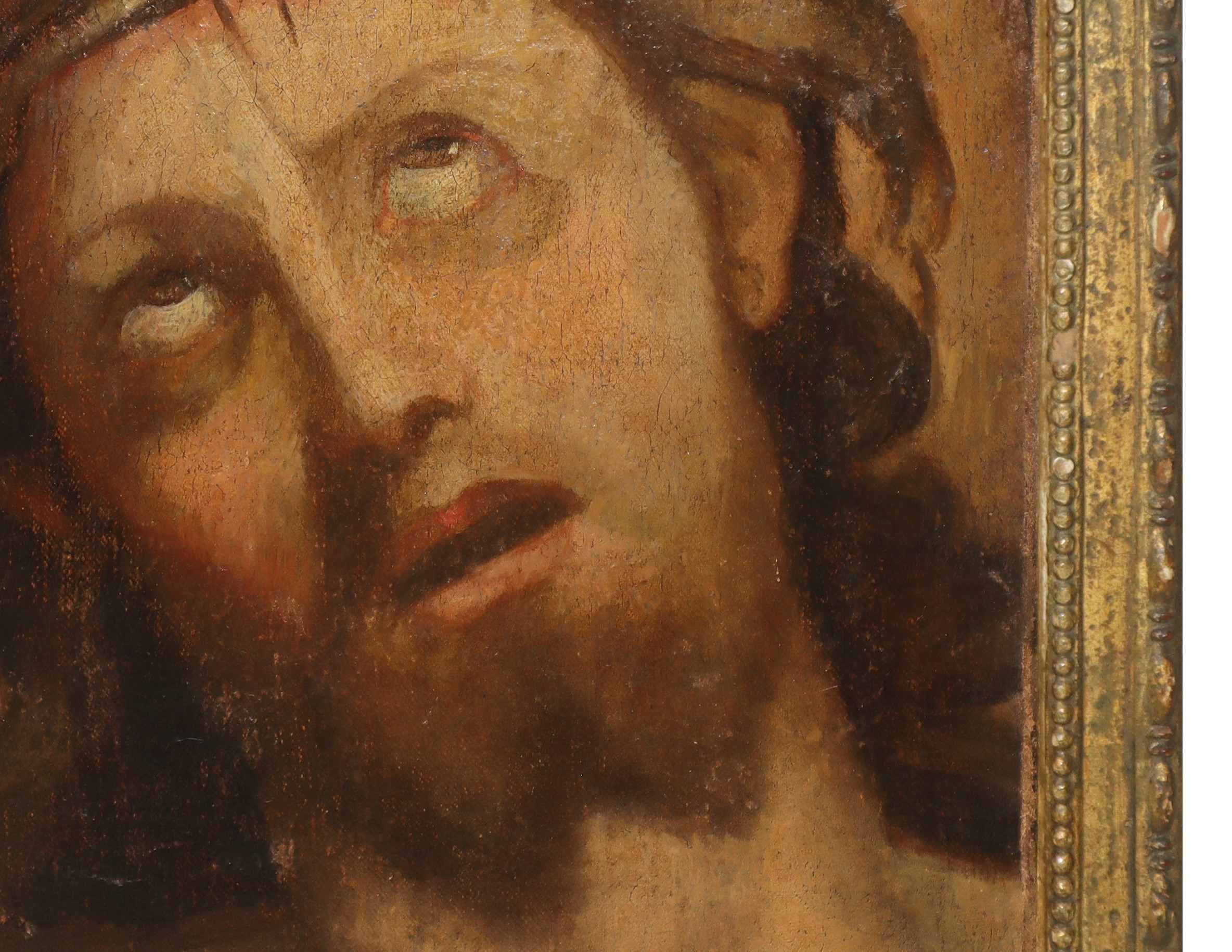 Volto di Gesù Coronato di Spine