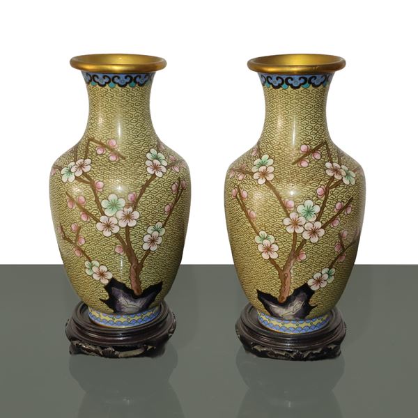 Pair of Chinese cloisonnet vases decorated with polychrome flowers