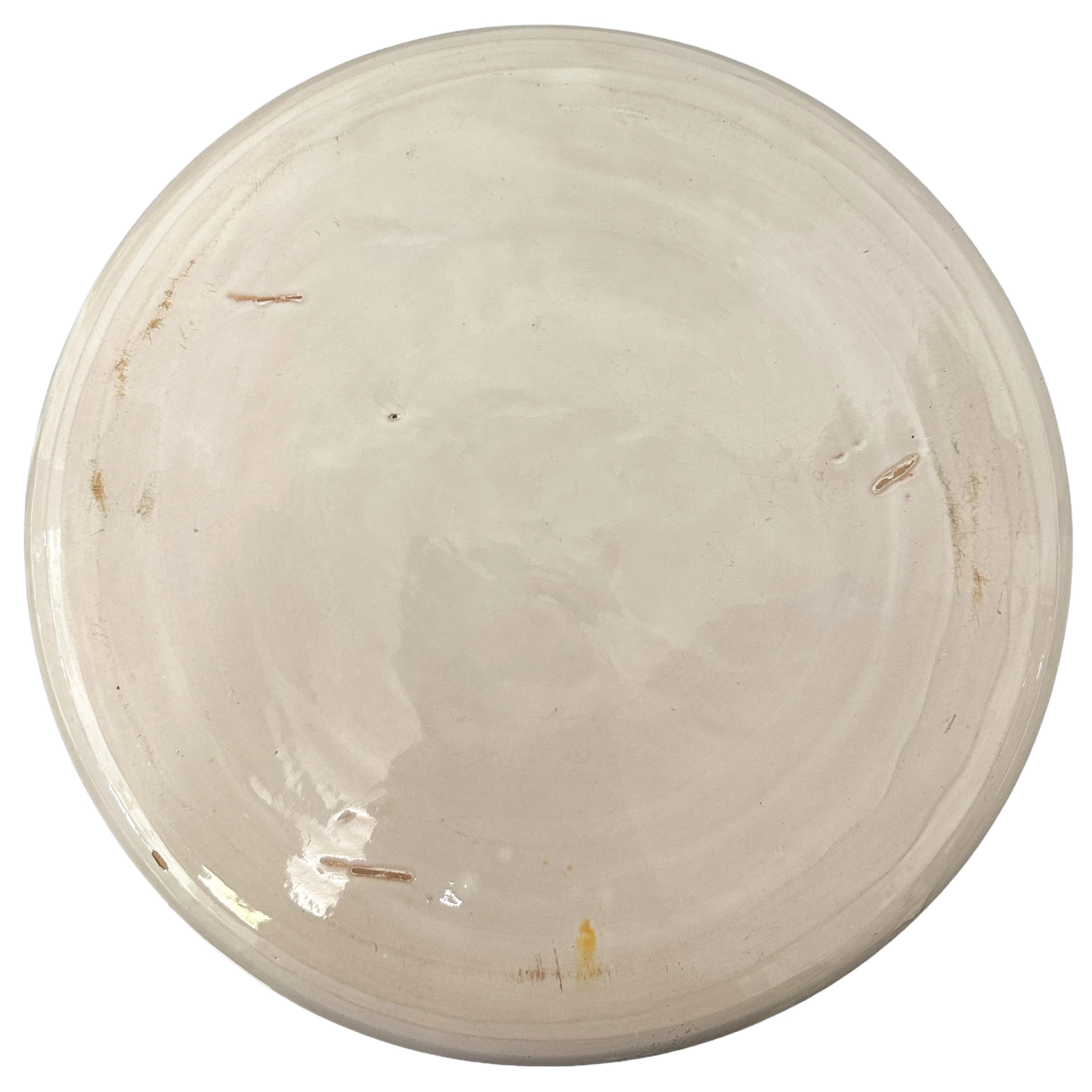 Piatto centrotavola maiolica policroma