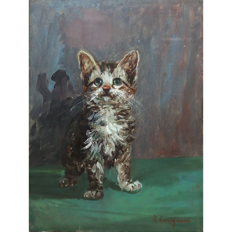 Roberto Carignani - Gatto