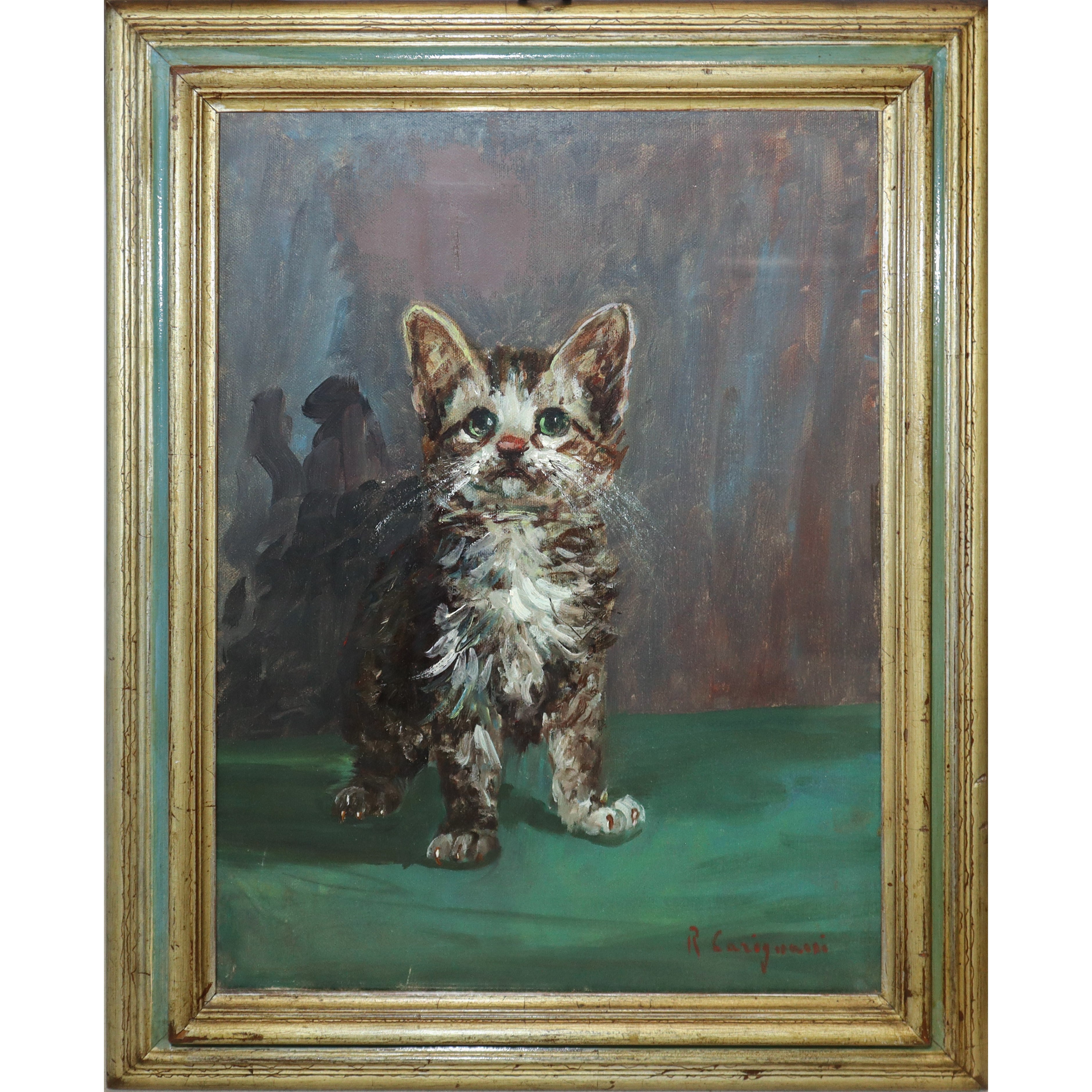 Roberto Carignani - Gatto