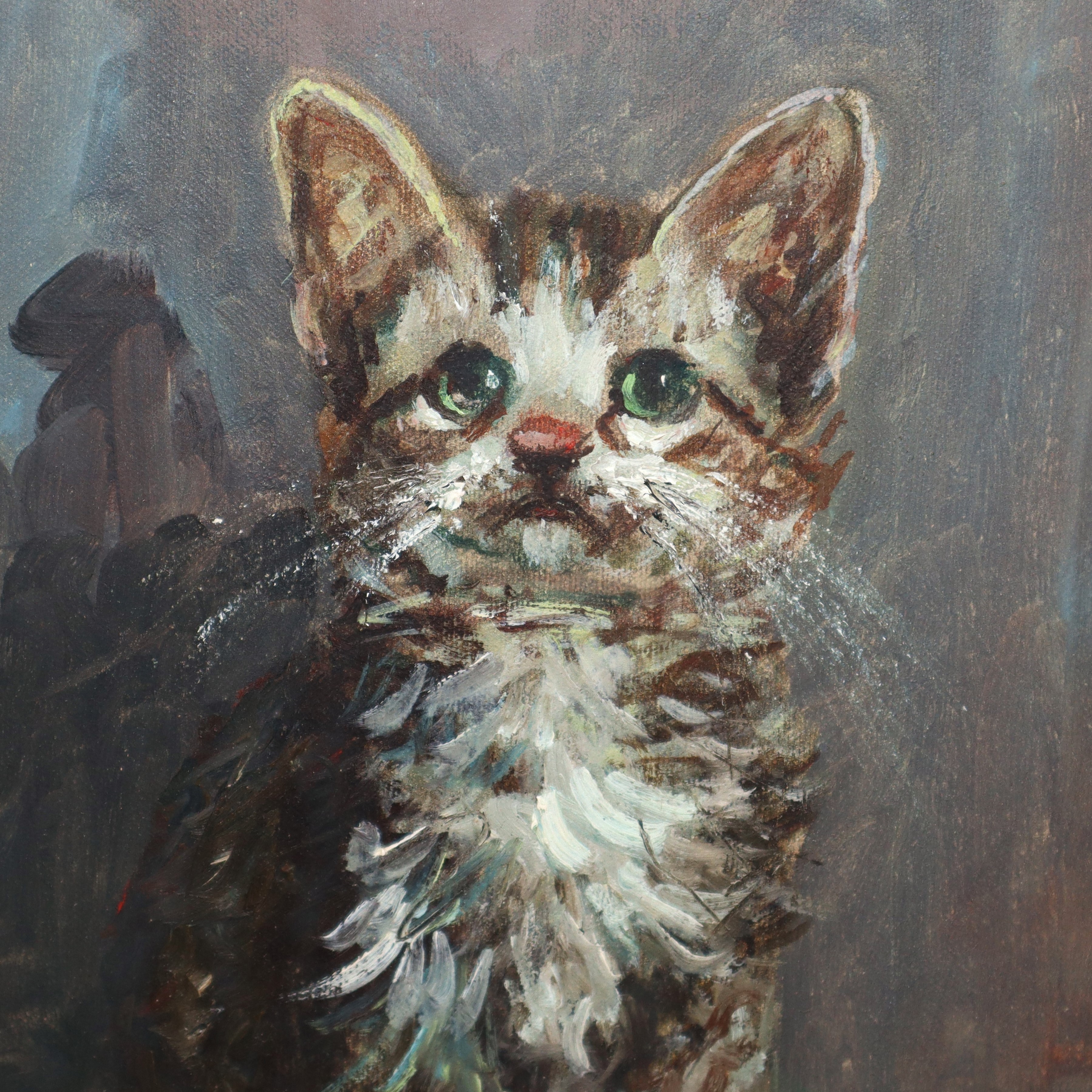Roberto Carignani - Gatto