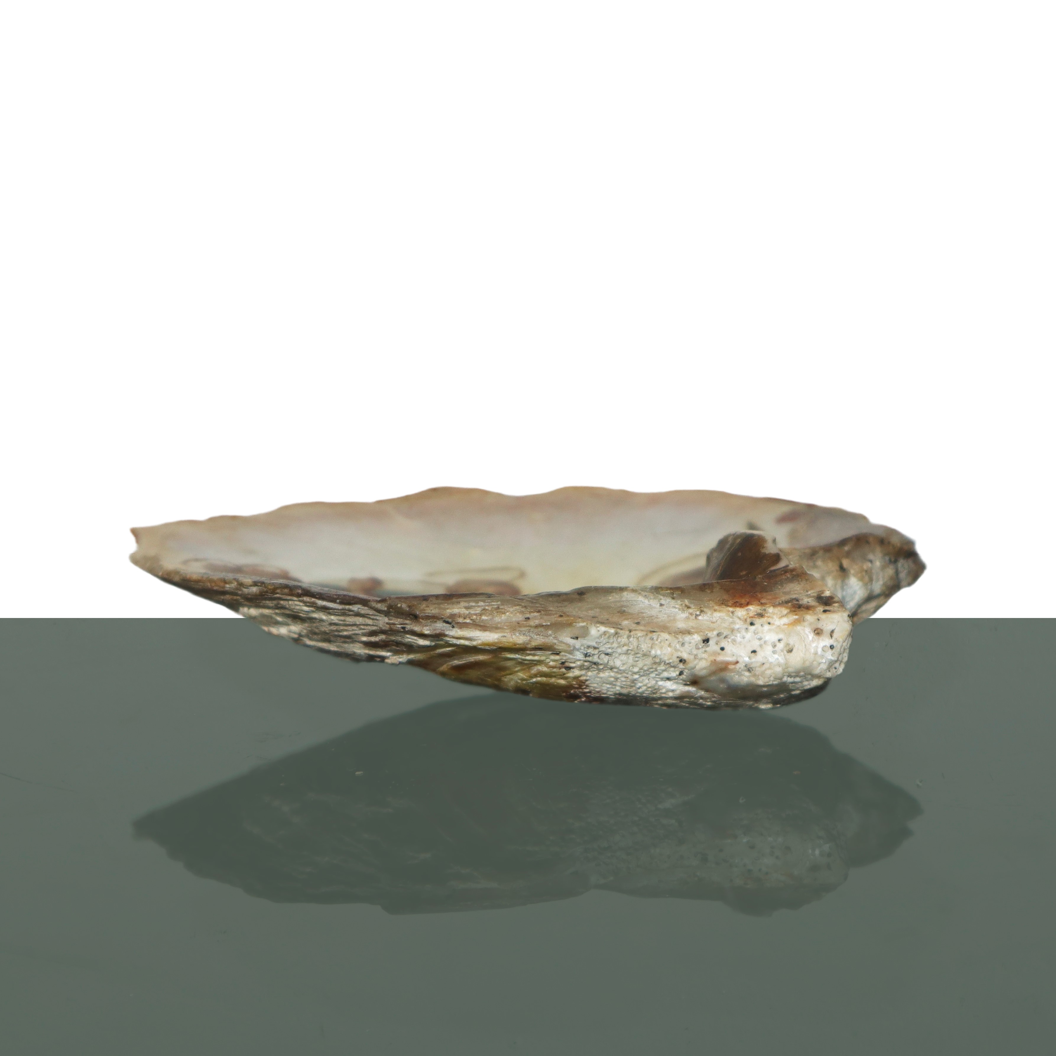 Conchiglia Dipinta in Policromia con Scena Biblica, Transito di S.giuseppe