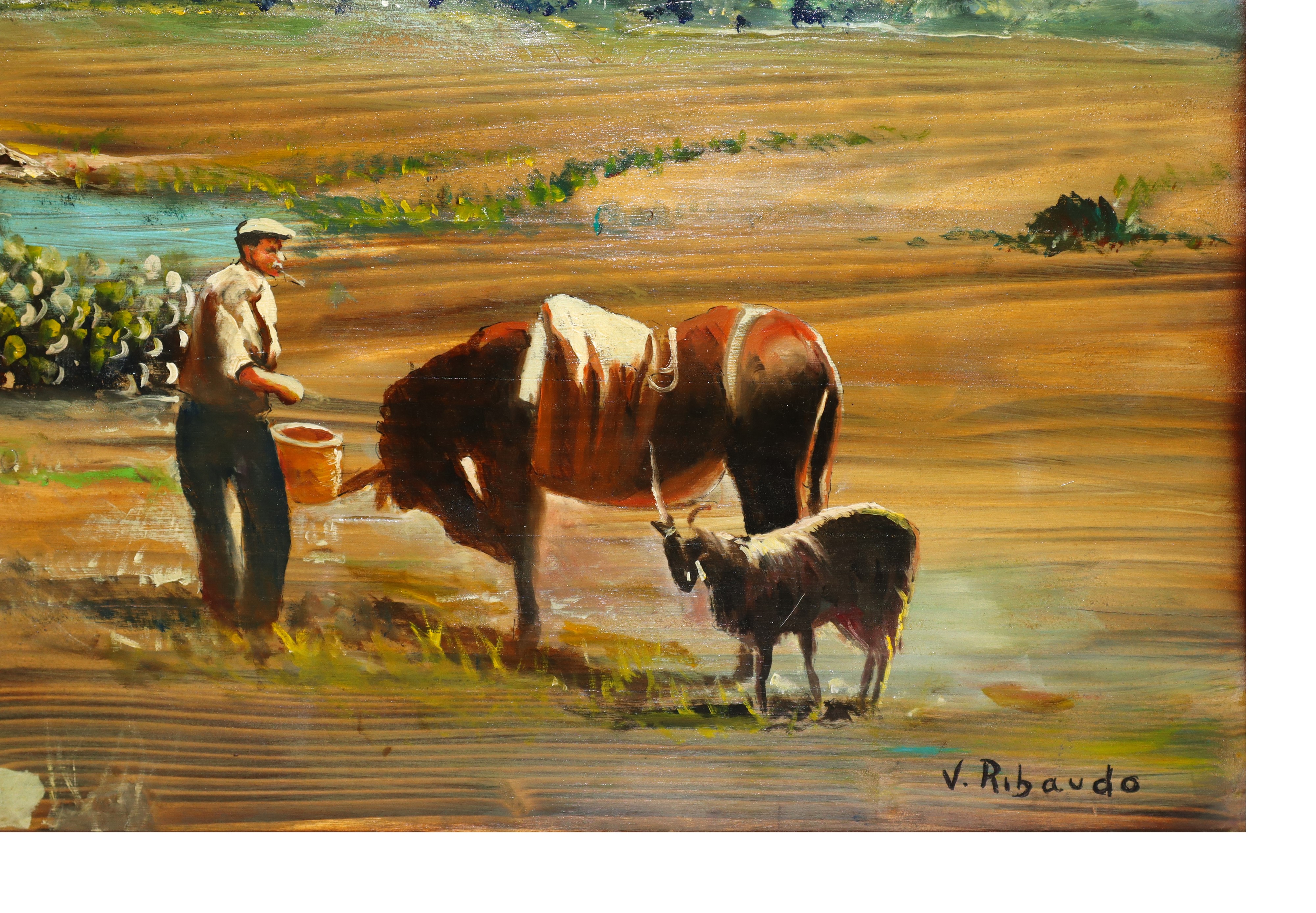 Scena siciliana agreste con vista sull'Etna