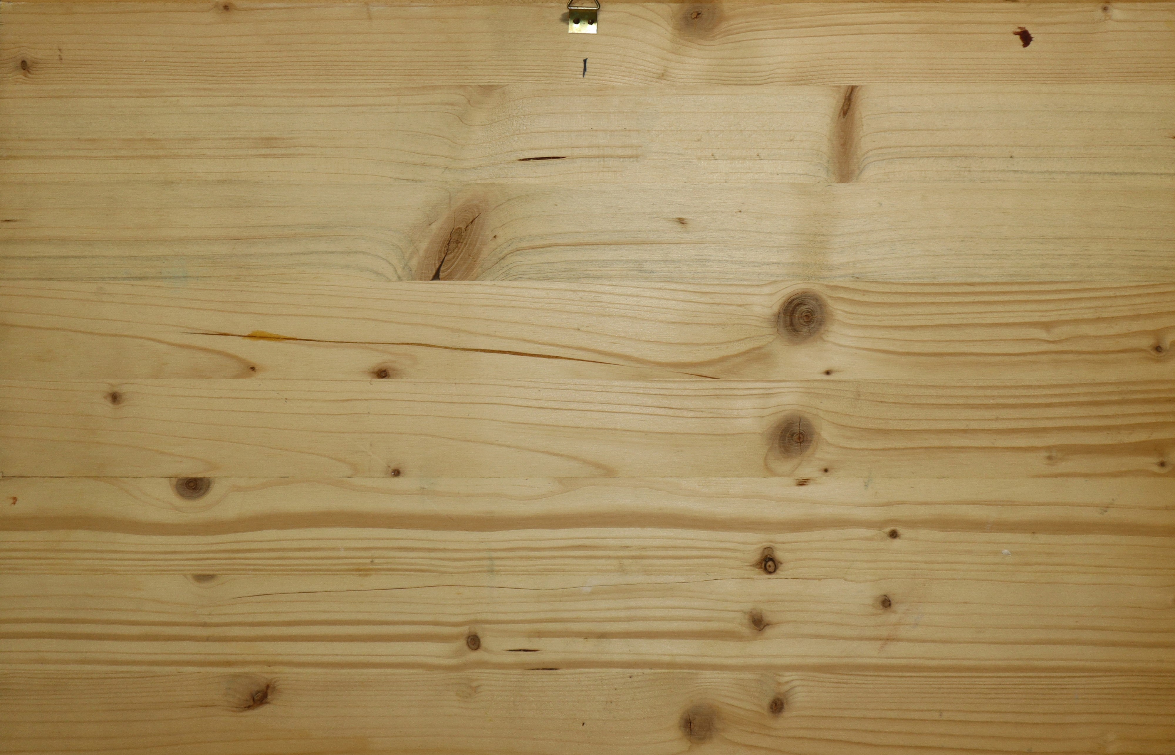 Scena siciliana agreste con vista sull'Etna