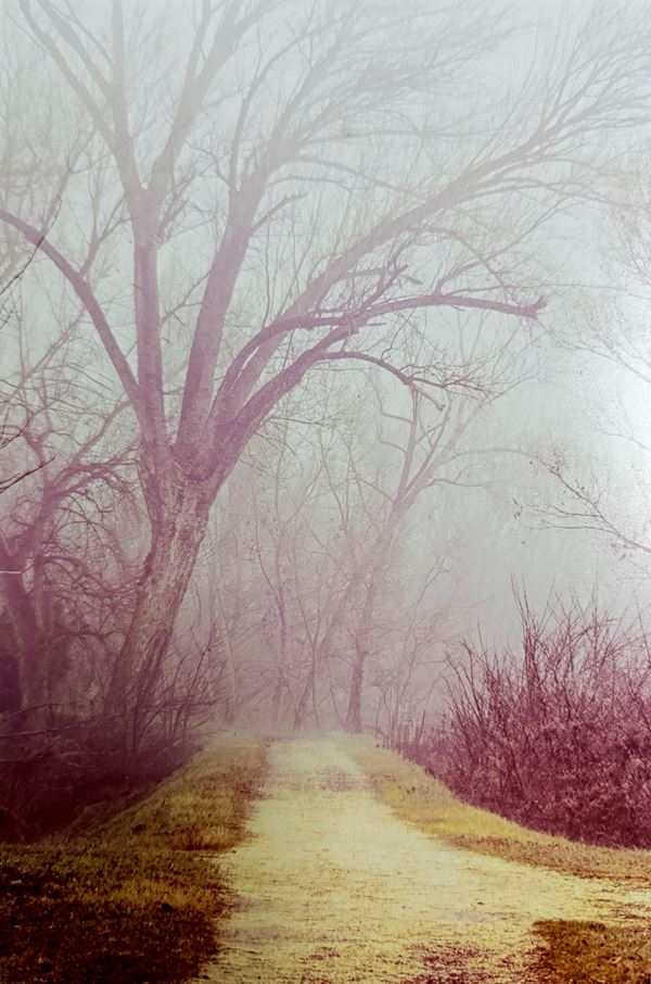 Abbas Gharib - Fog