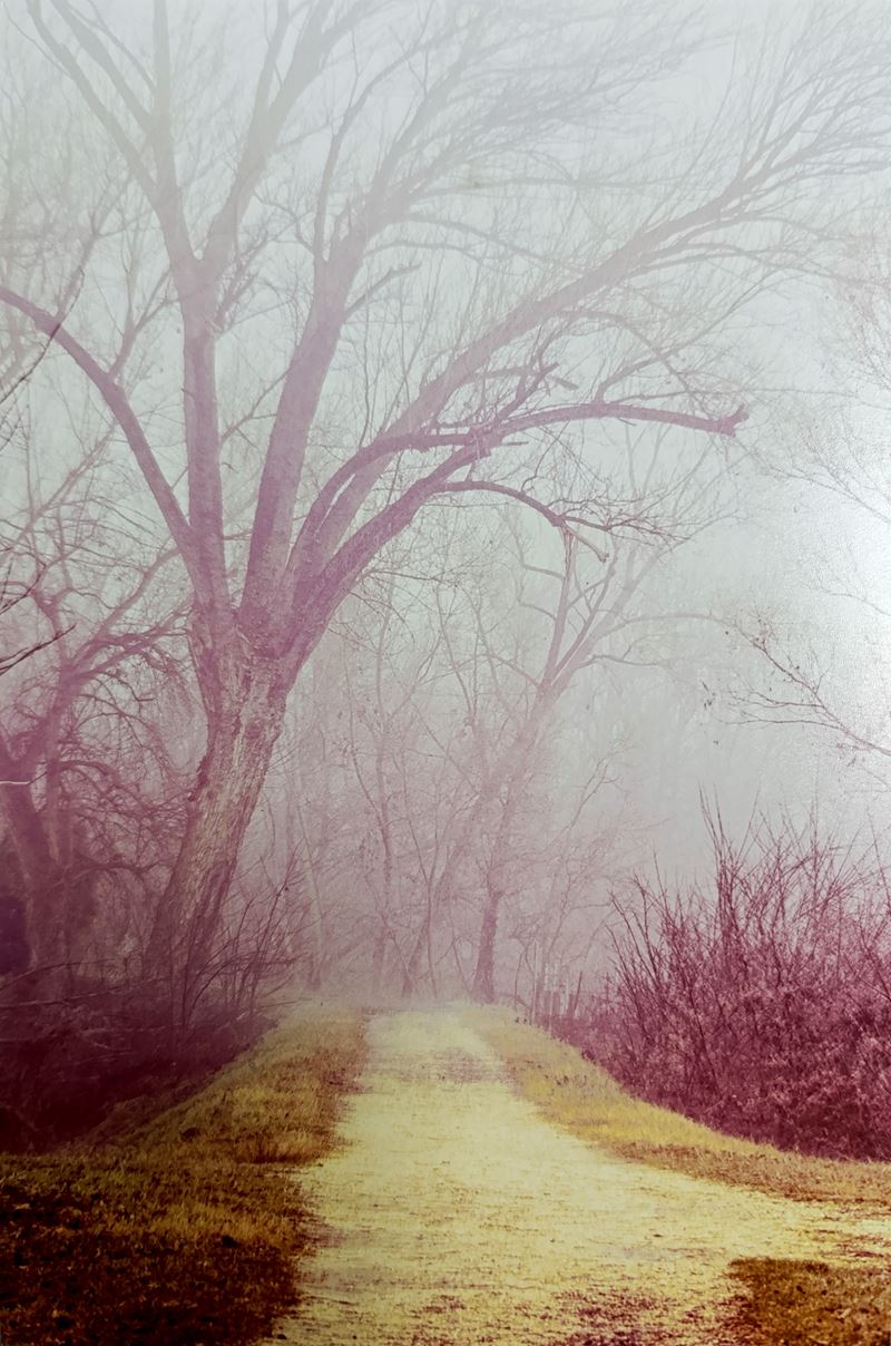 Abbas Gharib - Fog