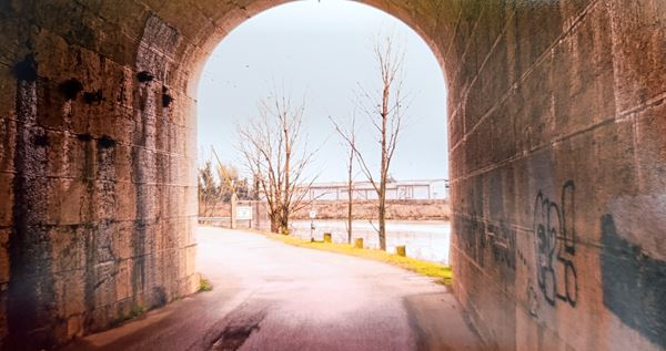 Abbas Gharib - Fog