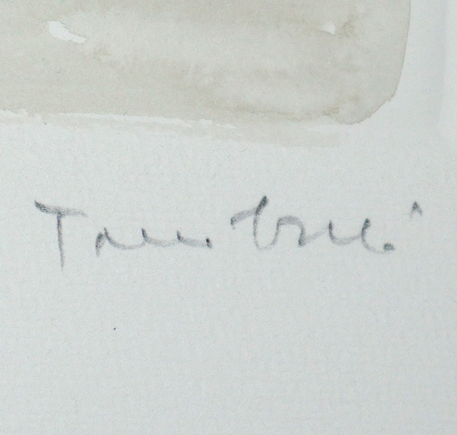 Orfeo Tamburi - Ai Giardini