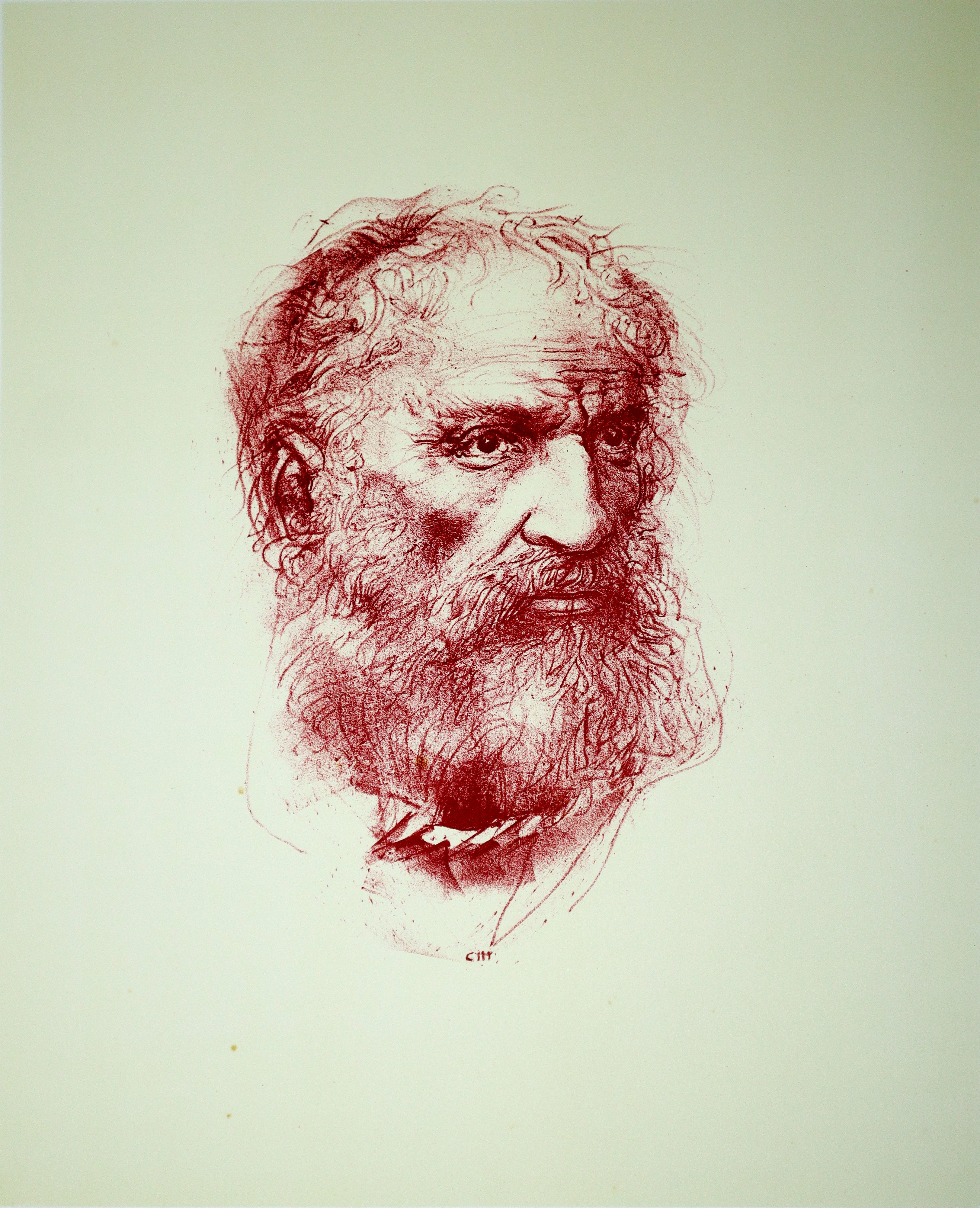Pietro Annigoni - Senza Titolo