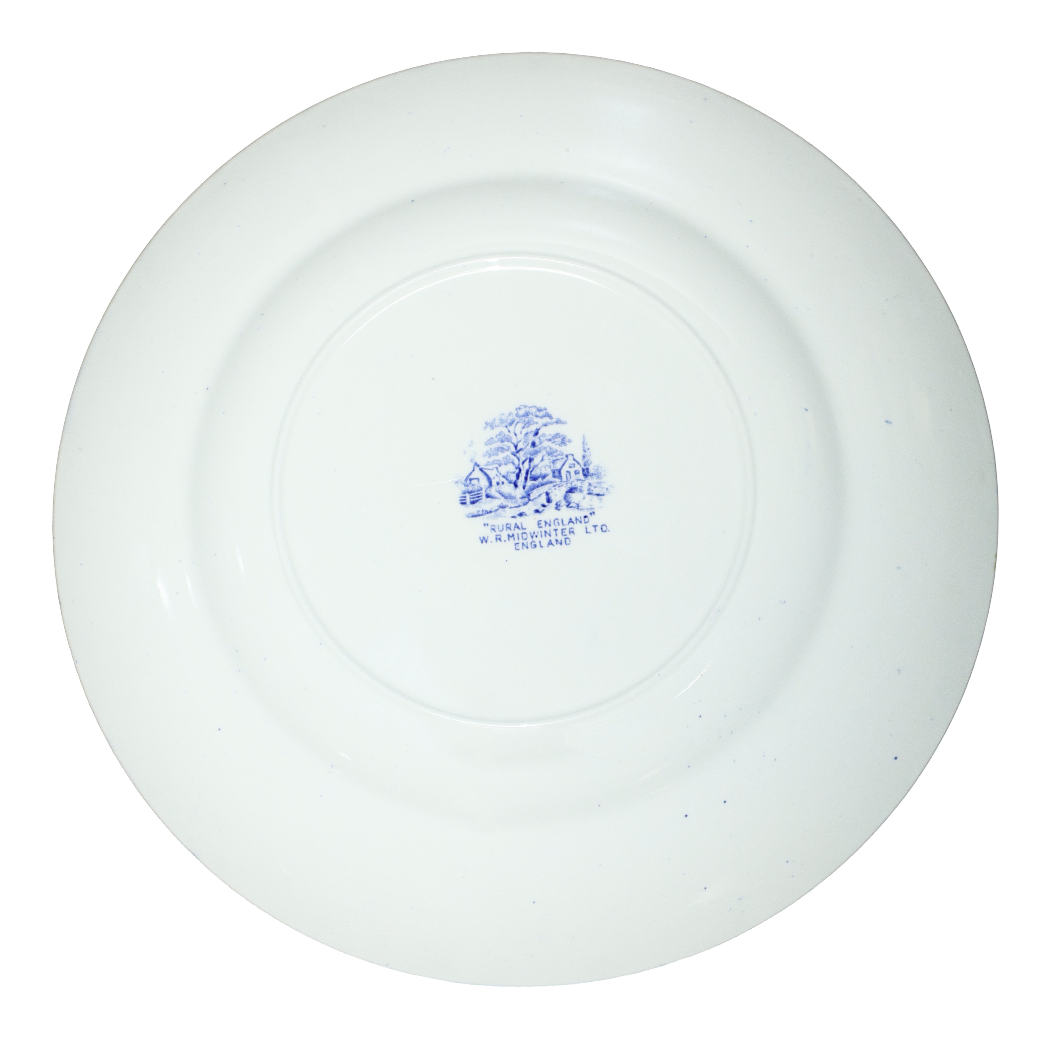 Rural England W. R. Midwinter Ltd - Servizio di piatti in porcellana inglese con decori blu