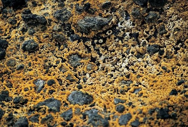 Collection EM, titled "Sulfur", 2003. Etna eruption in 2002 the crater rim, concretions of sulfur (detail), slide 1/8, 30x45, cibachrome slide by direct printing, 40x55 forex 10mm, Contouring white, cardboard, coating edges volcanic sand