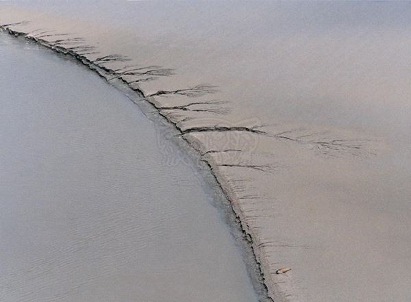 Collection EM, titled "Seal", 2002. France: view of the beach from Mont St. Michel with seal, color negative 2/8, 30x45, printing from color negative photographic paper, 40x55 forex 10mm, Contouring white, cardboard, edges coating volcanic sand