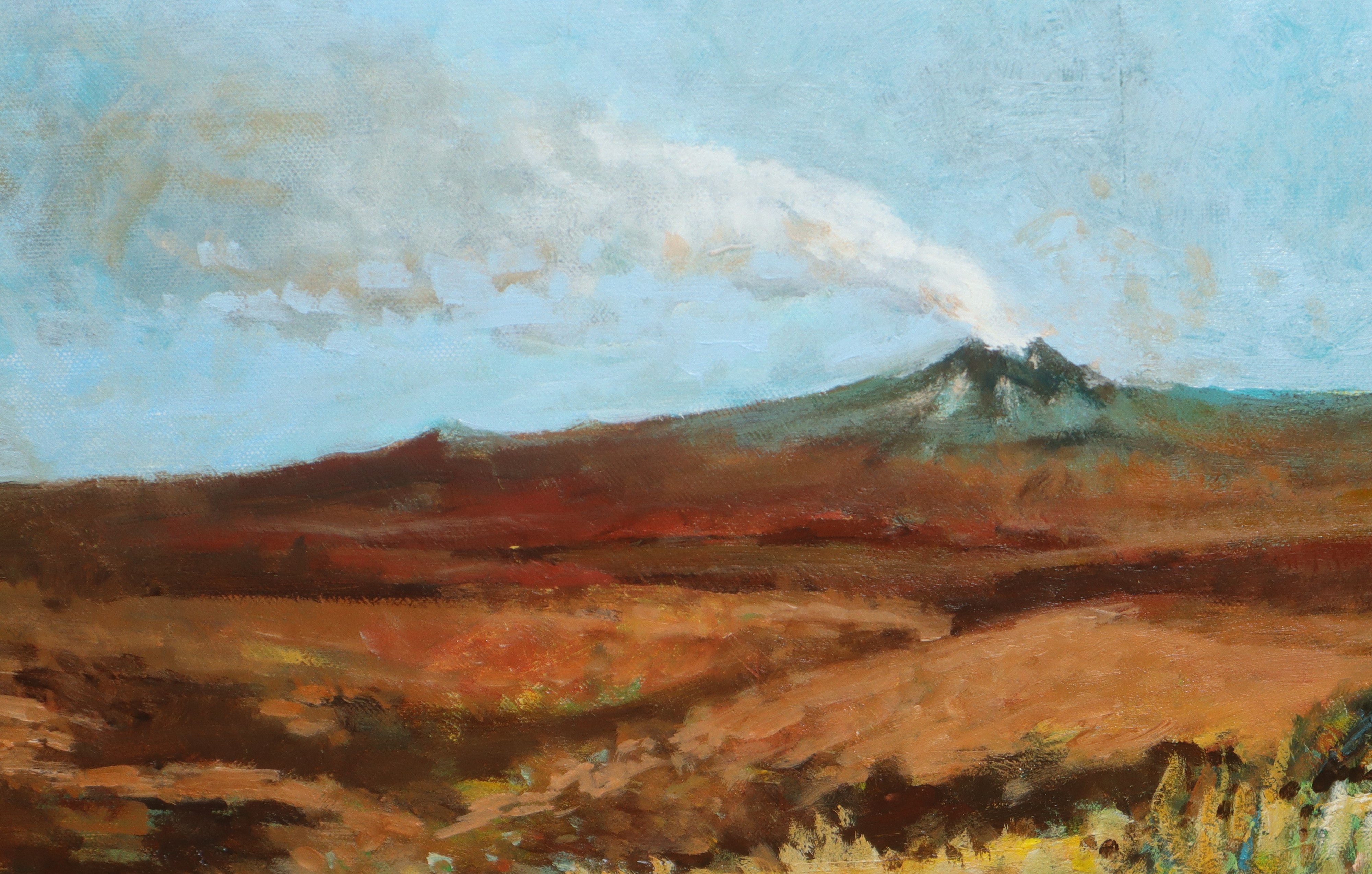 Etna e contadini nei campi