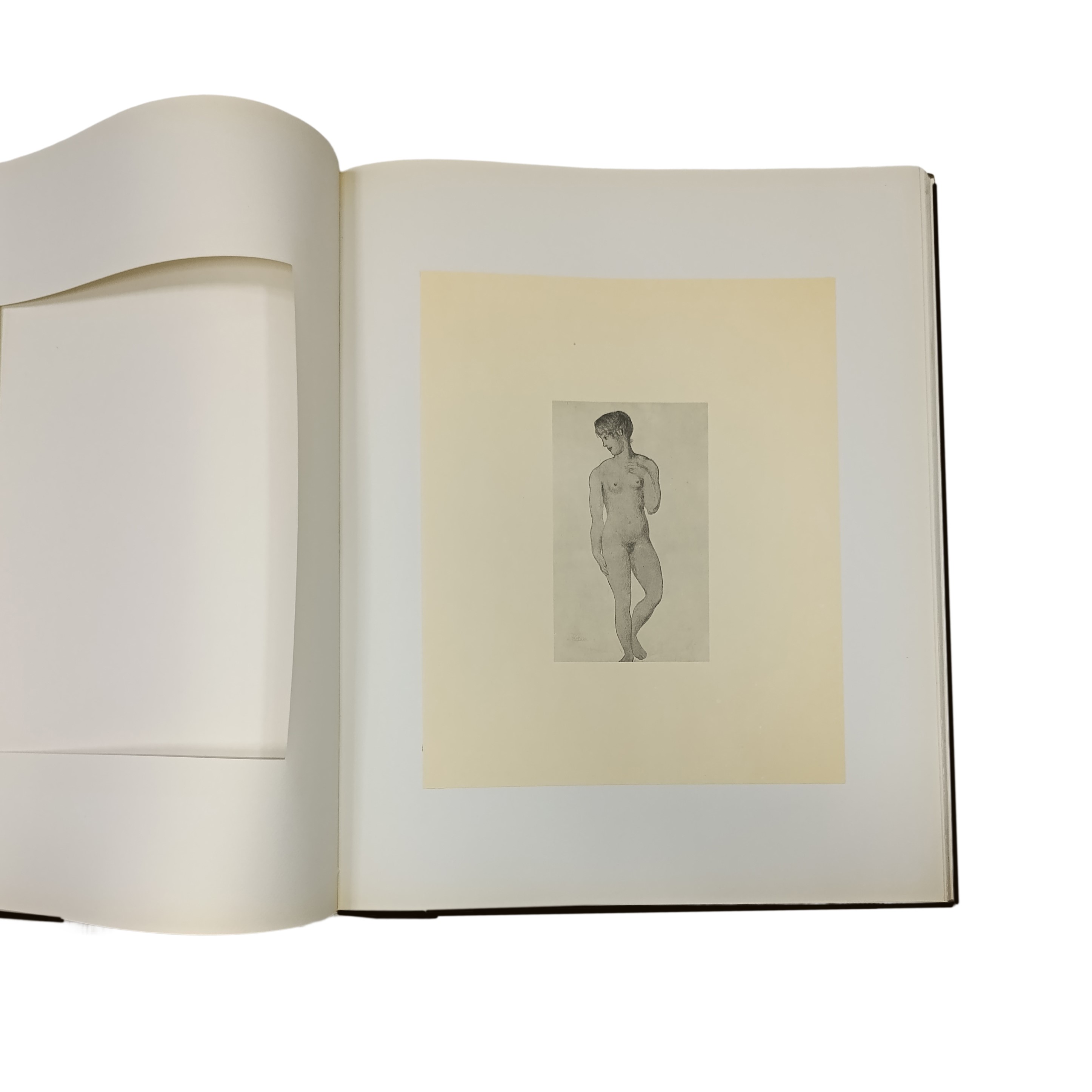 Evidenza di Picasso: il disegno moderno