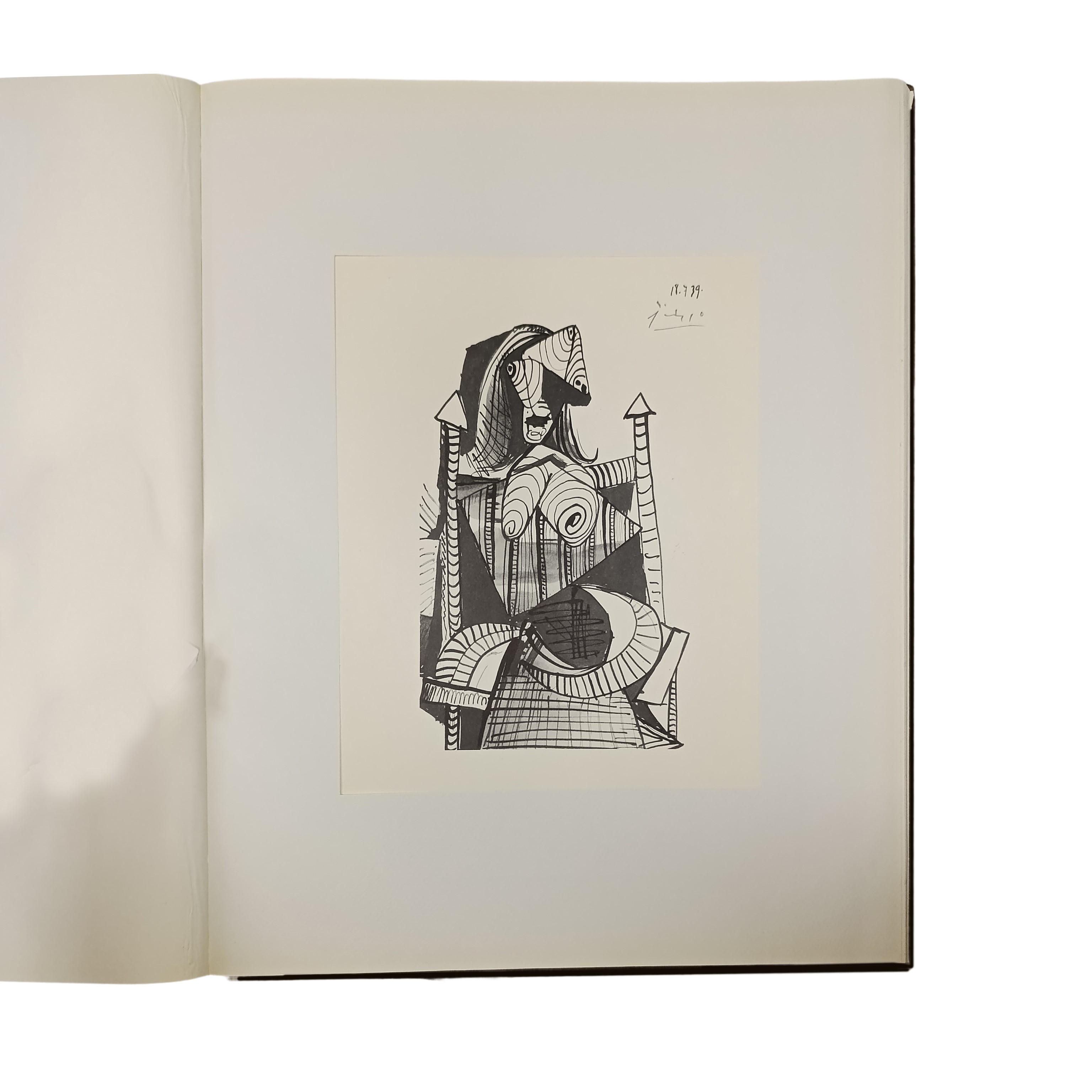 Evidenza di Picasso: il disegno moderno