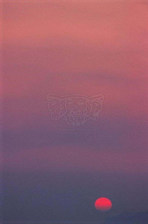 Collection EM, titled "Sunsetting", 2003. Porto Palo: sunset with colorful red and pink sky sun, slide 1/8, 30x45, Cibachrome print directly from the slide, 40x55 forex 10mm, Contouring white, cardboard, cover edges volcanic sand